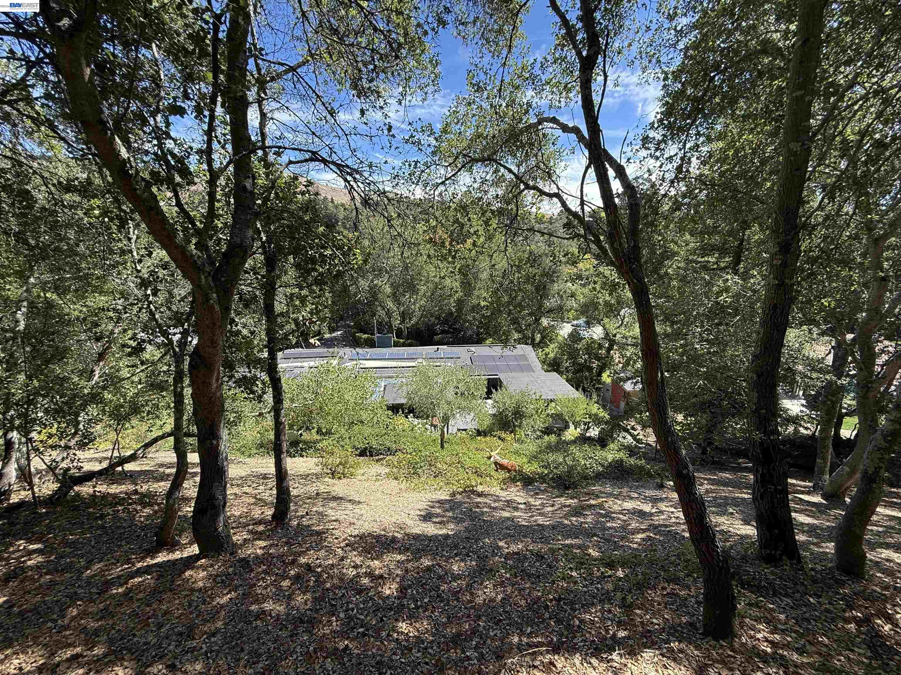 516 Moraga Way, Orinda CA 94563 — photo 92