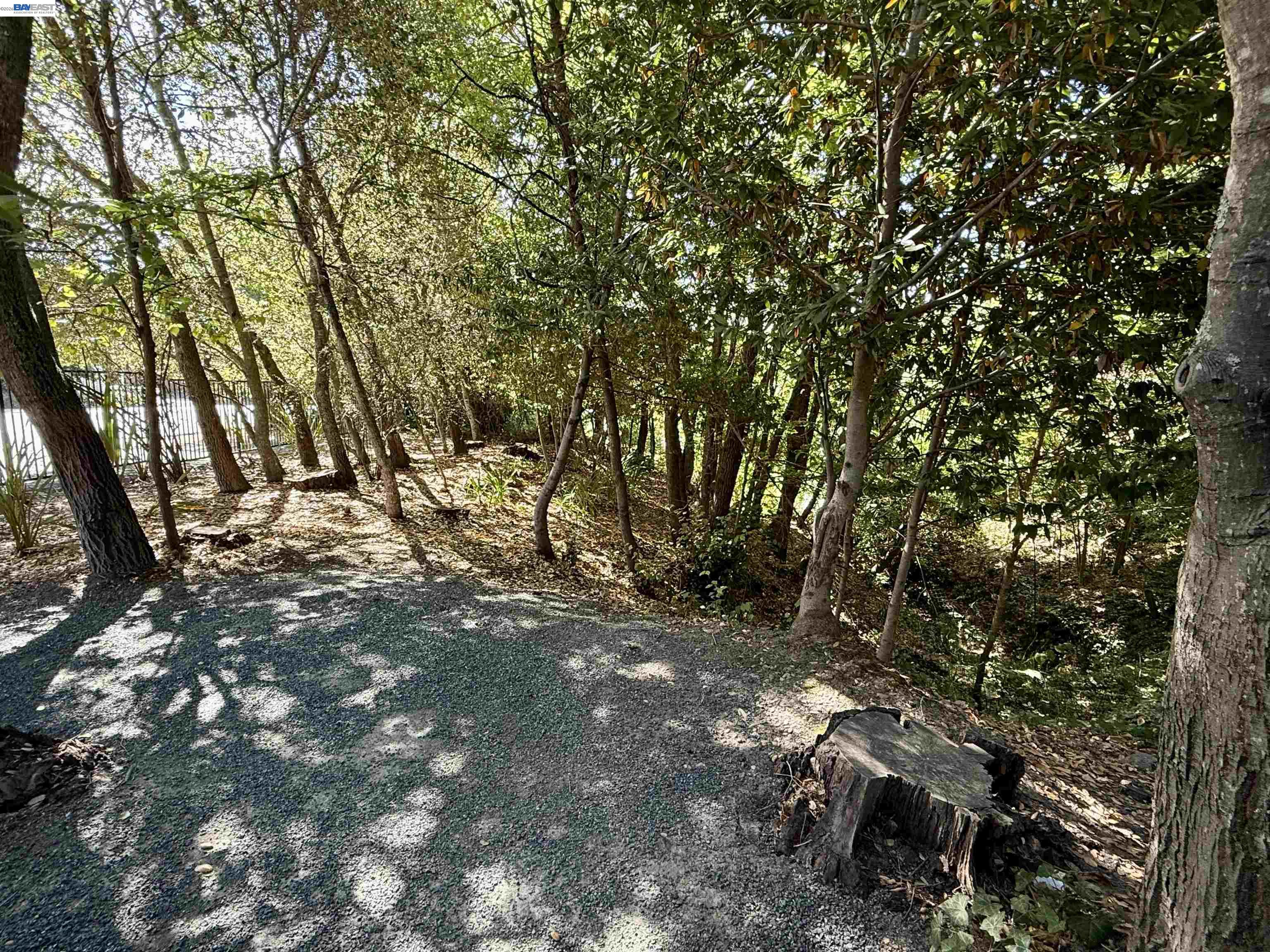 516 Moraga Way, Orinda CA 94563 — photo 93
