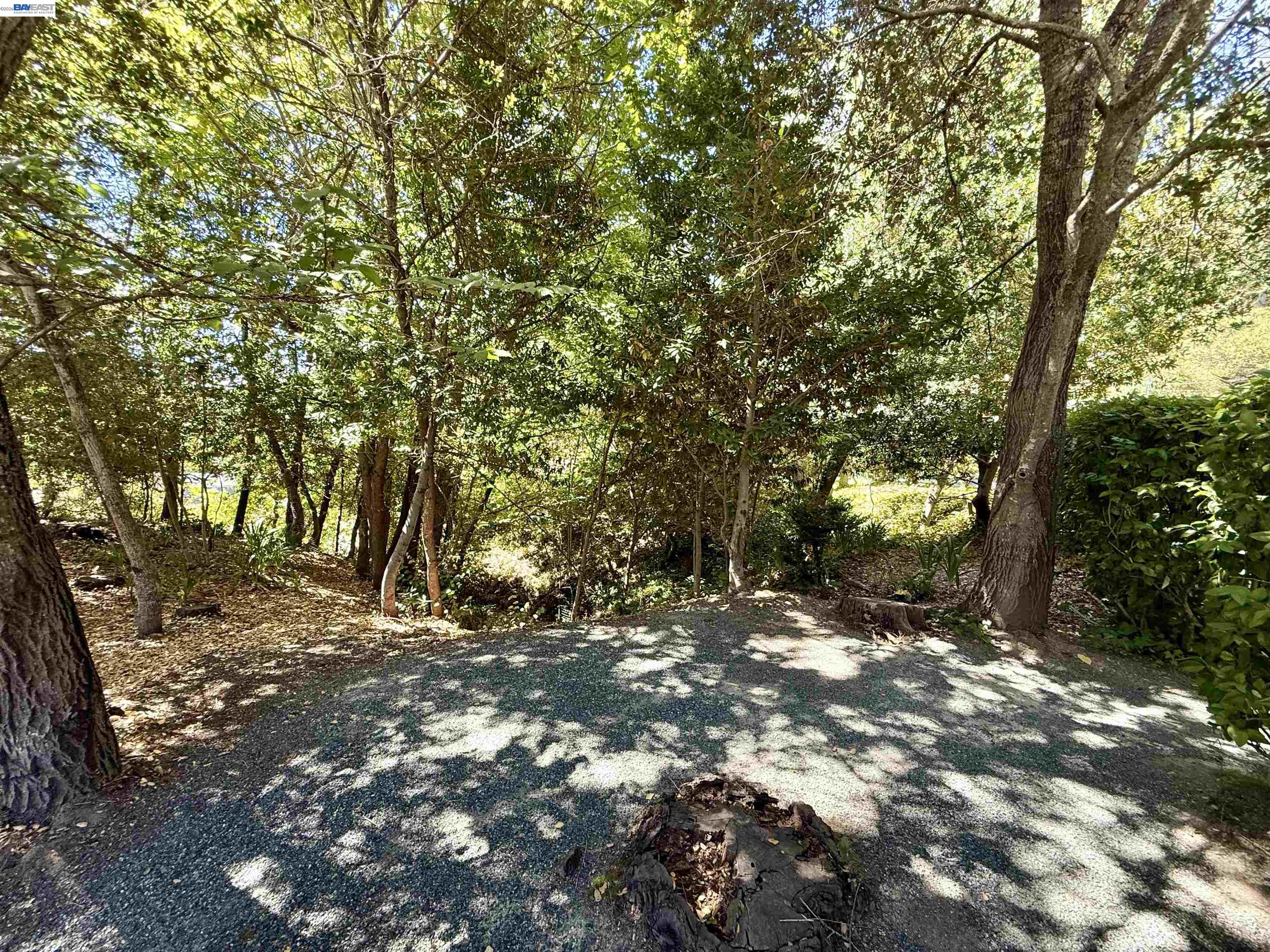 516 Moraga Way, Orinda CA 94563 — photo 98