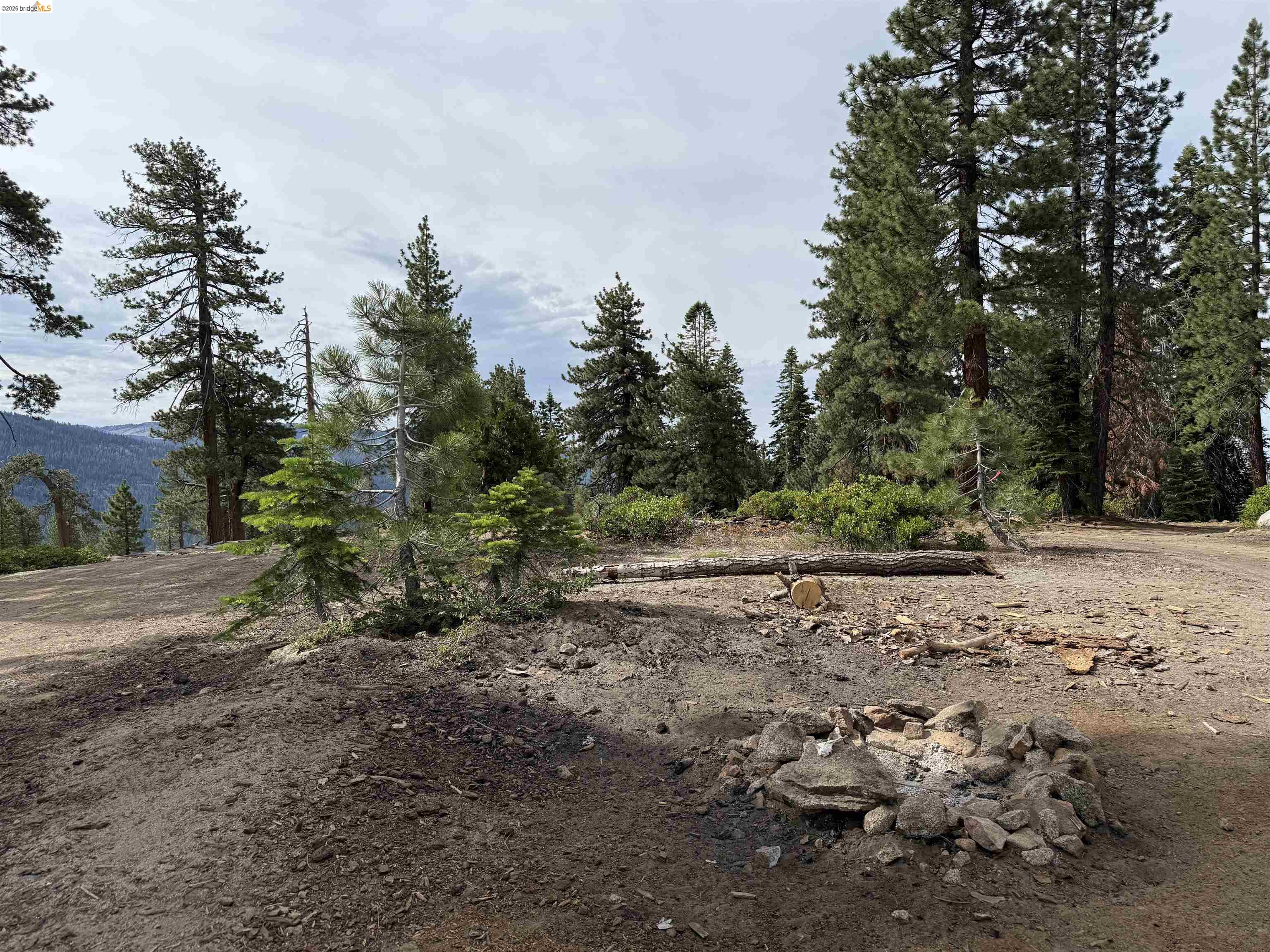 Front Image Thumbnail for EB41142918