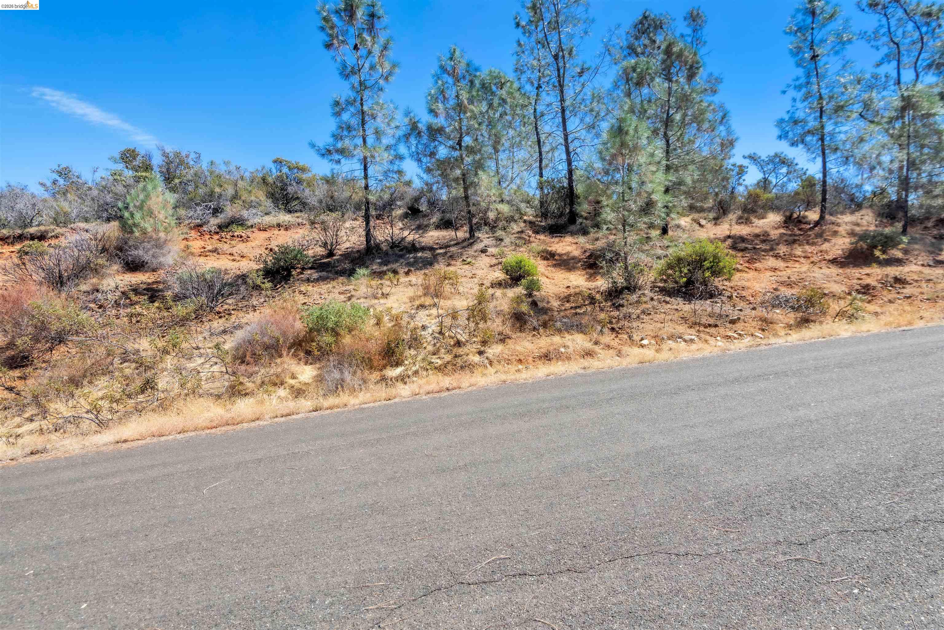 4462 Fremonts Loop, Rescue CA 95672 — photo 11