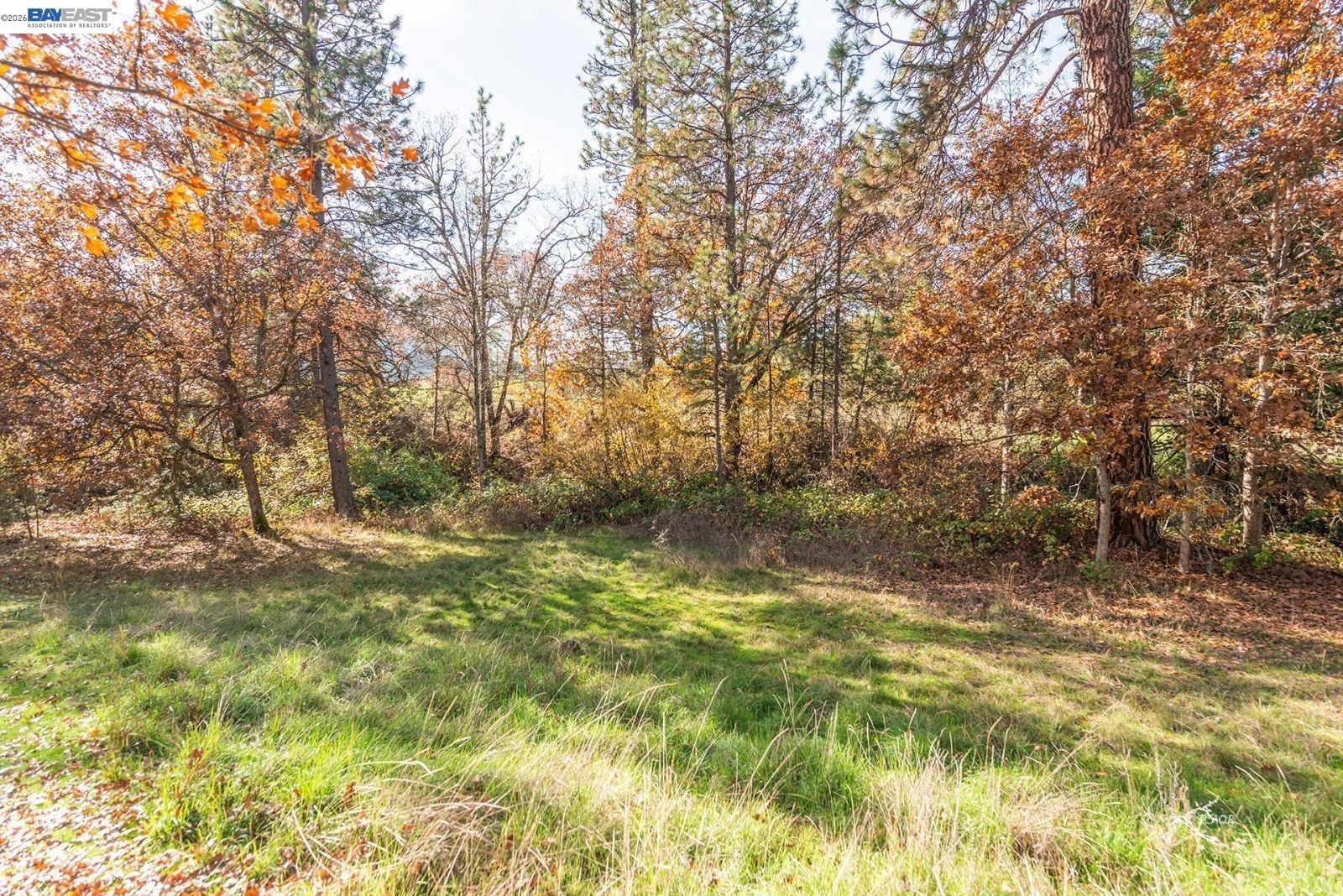 1790 Main St., Weaverville CA 96093 — photo 46