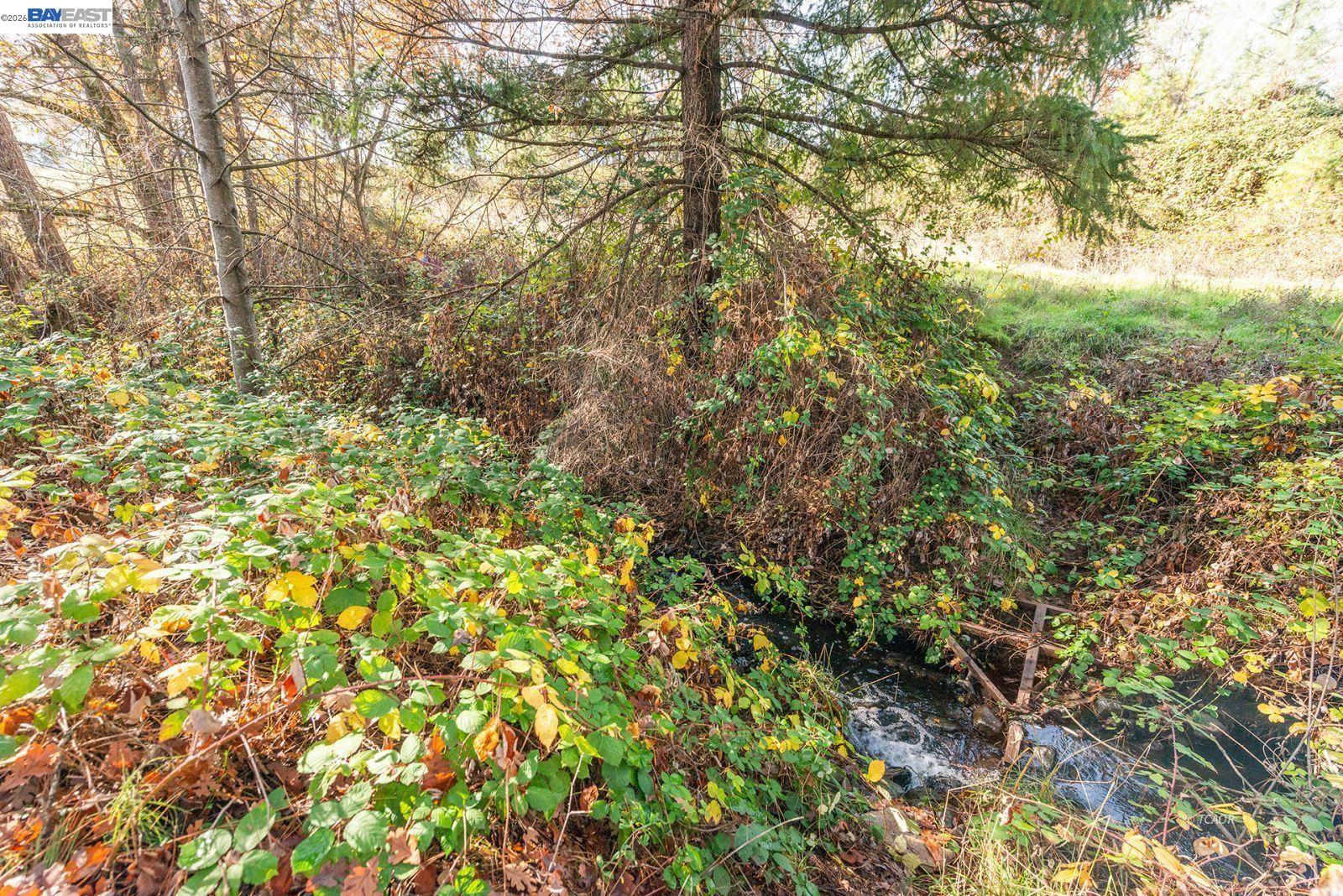 1790 Main St., Weaverville CA 96093 — photo 47