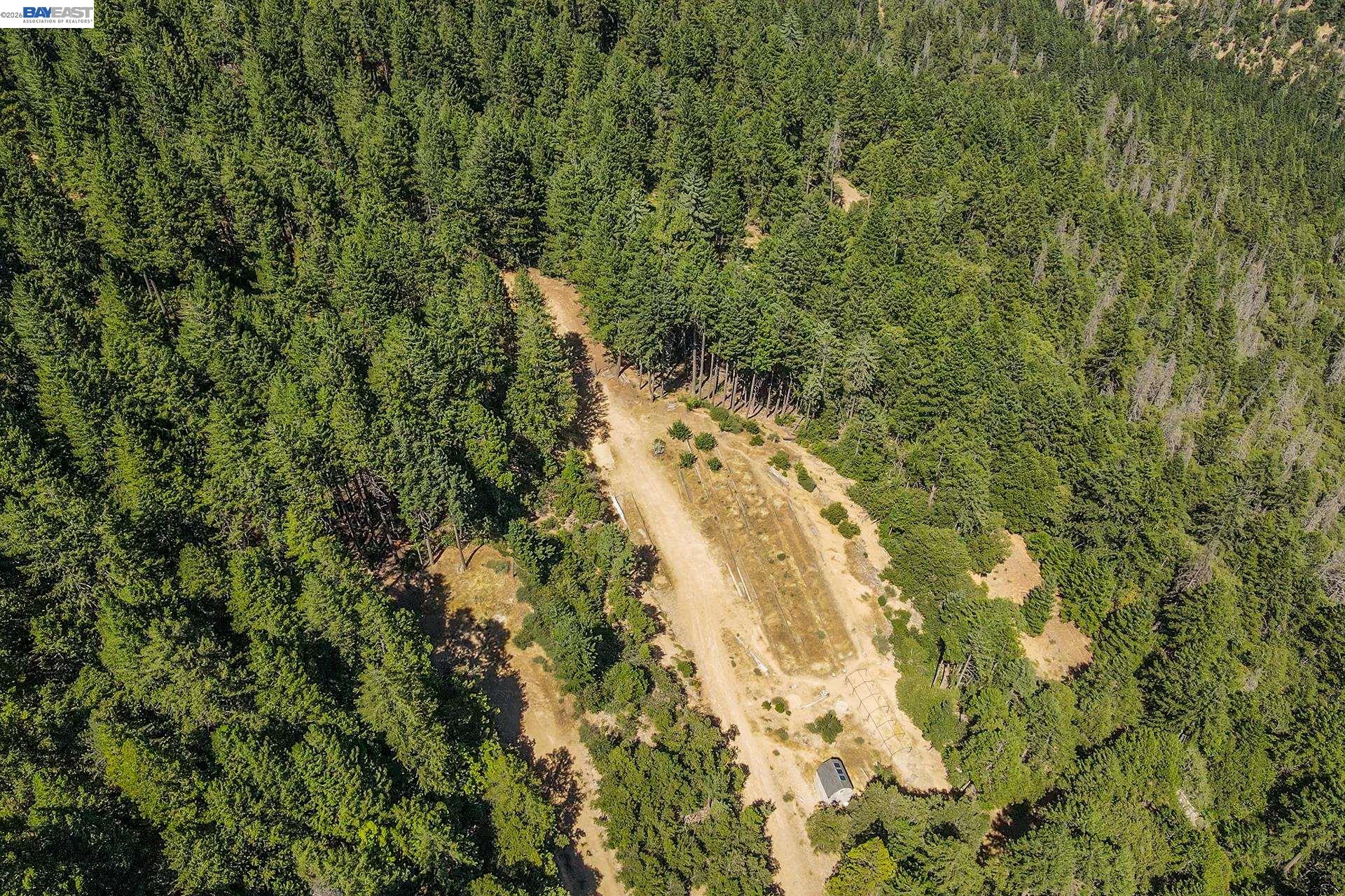 190 Moore Gulch, Trinity Center CA 96091 — photo 14