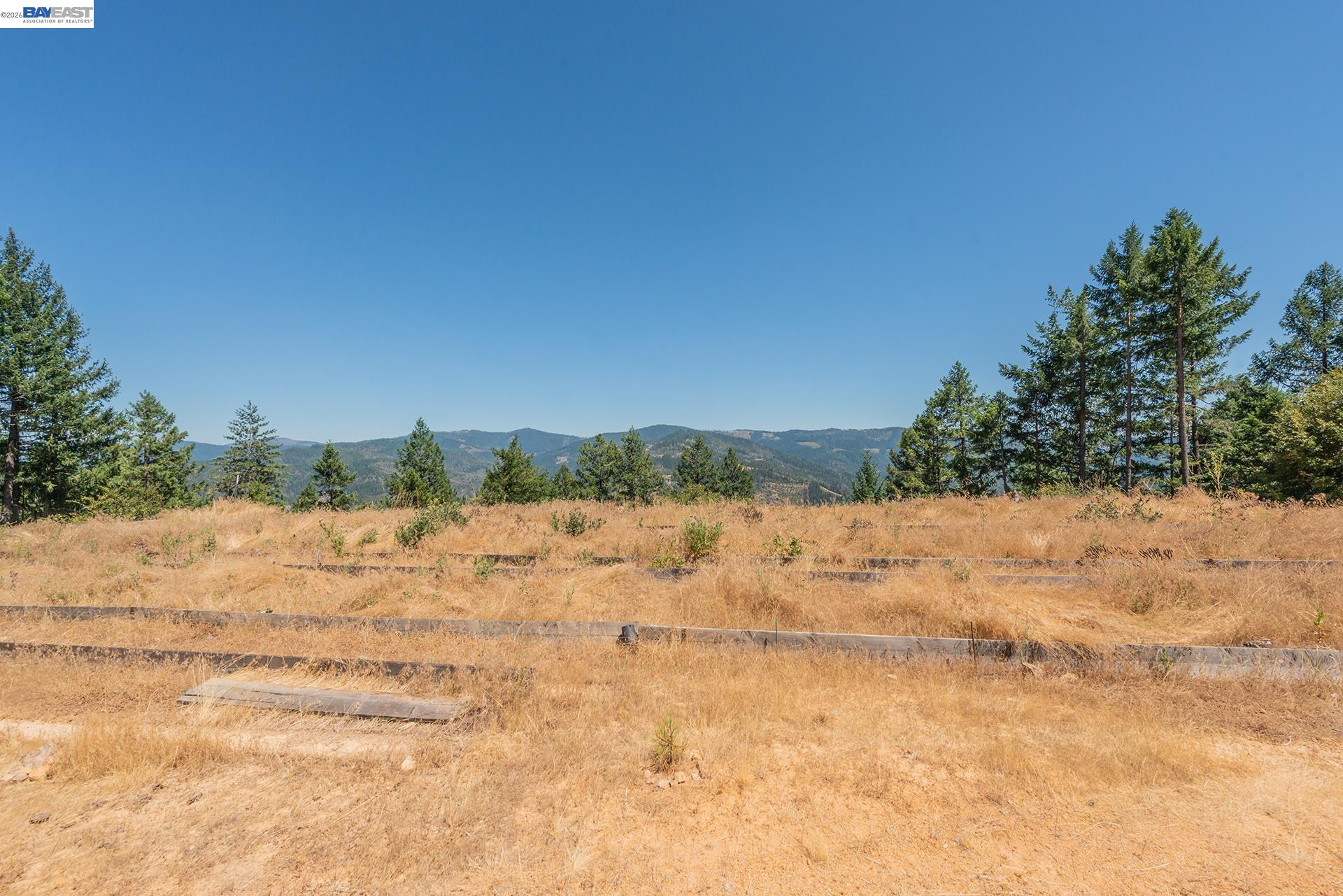 190 Moore Gulch, Trinity Center CA 96091 — photo 36