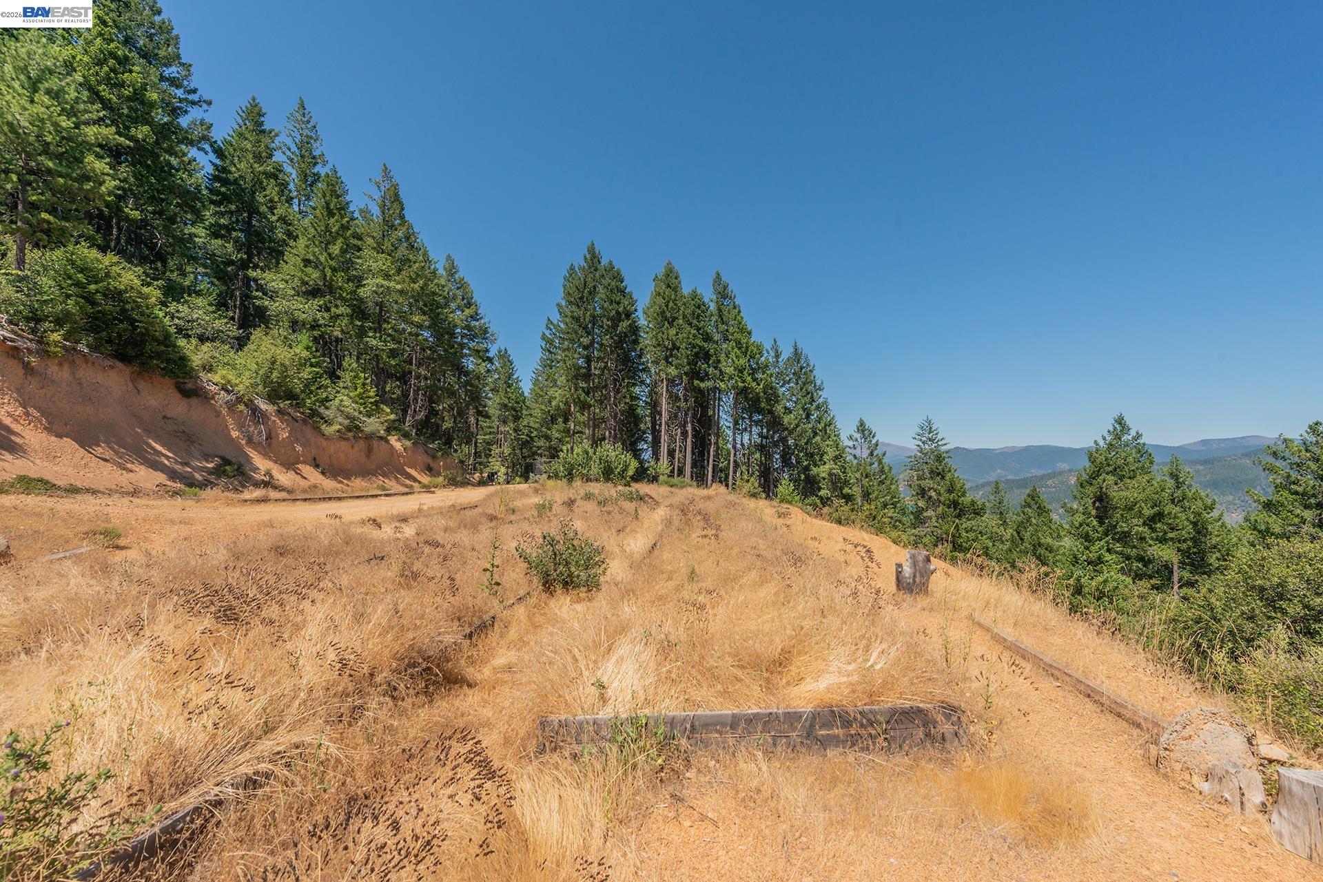190 Moore Gulch, Trinity Center CA 96091 — photo 39