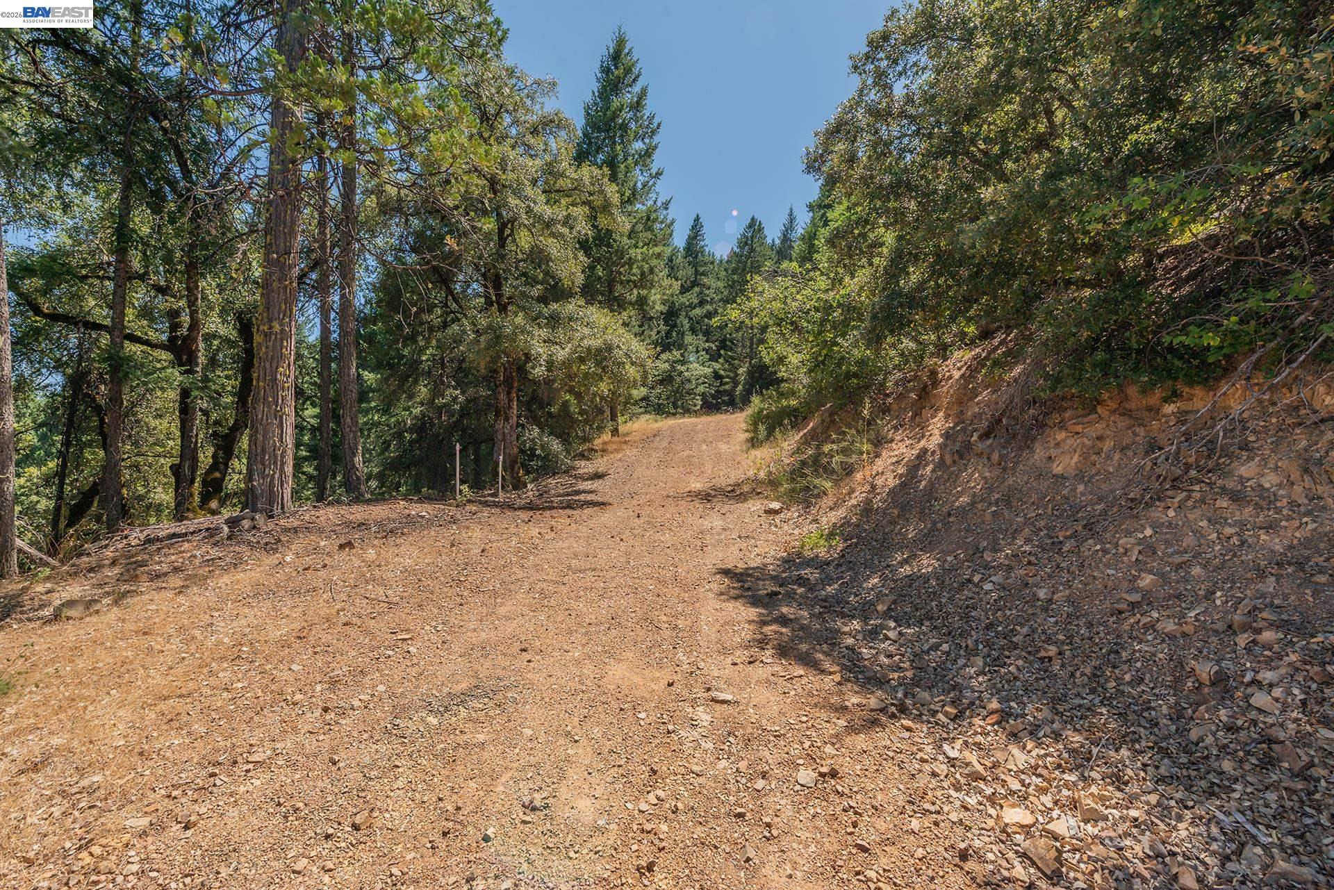 190 Moore Gulch, Trinity Center CA 96091 — photo 56
