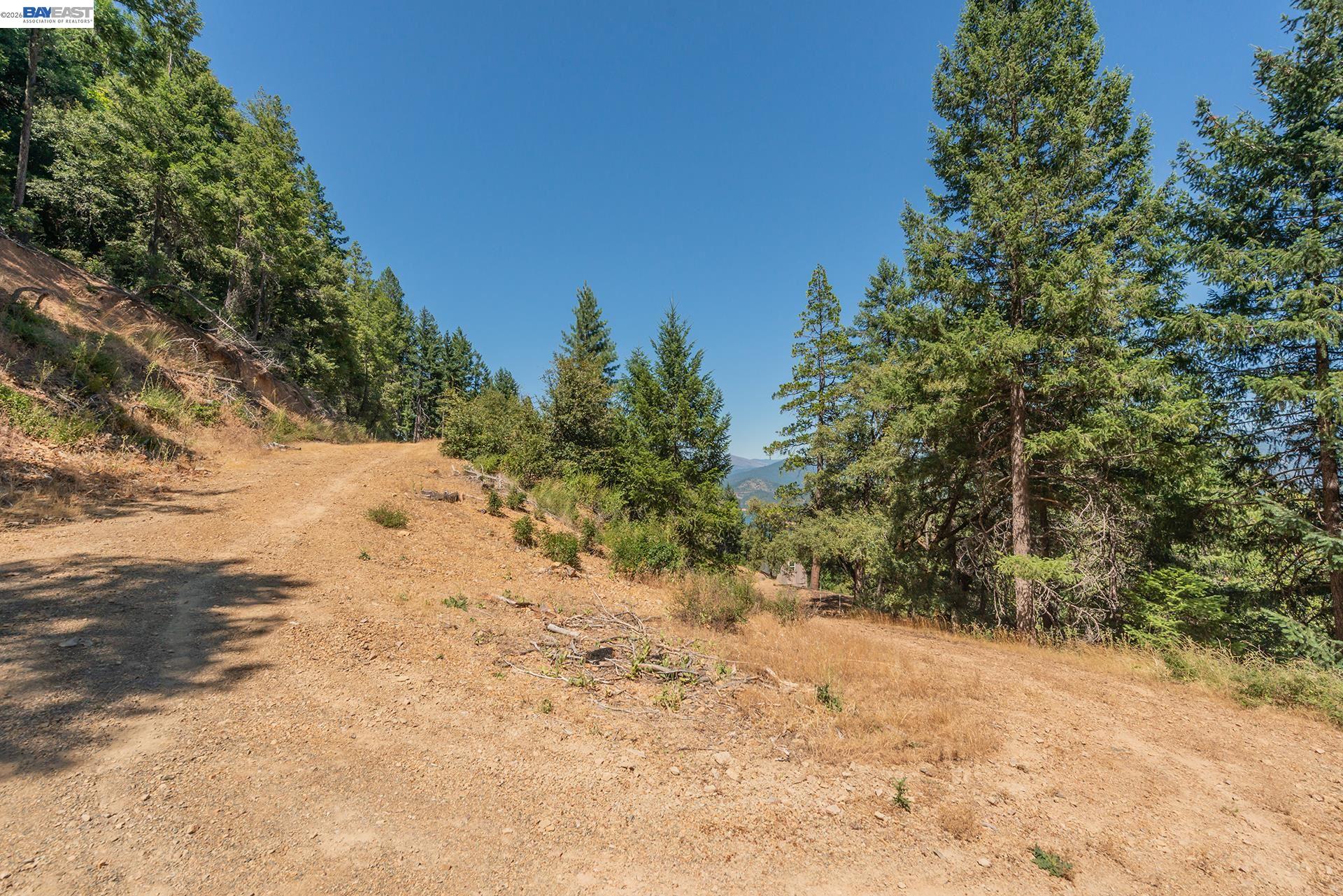 190 Moore Gulch, Trinity Center CA 96091 — photo 61