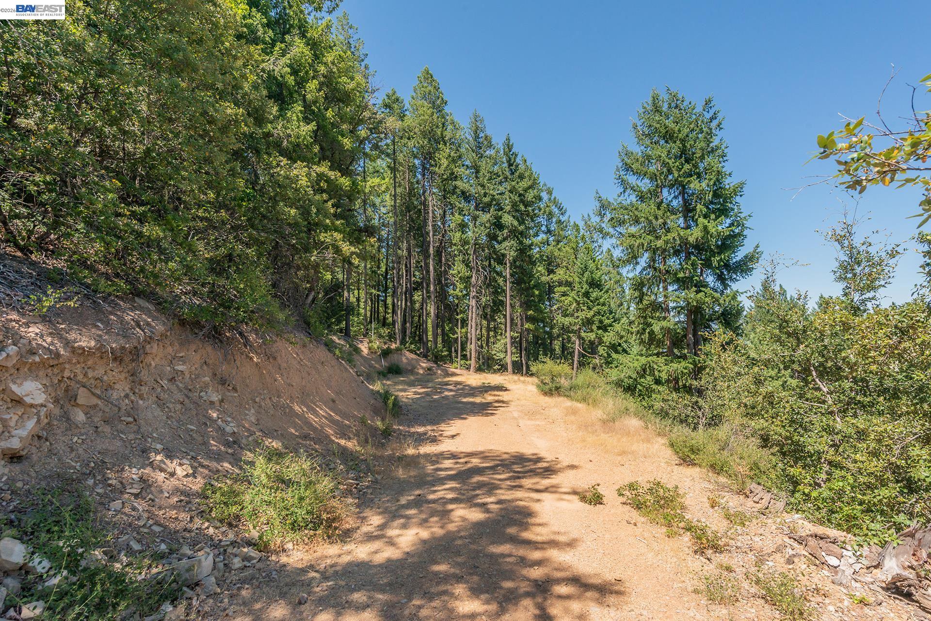 190 Moore Gulch, Trinity Center CA 96091 — photo 65