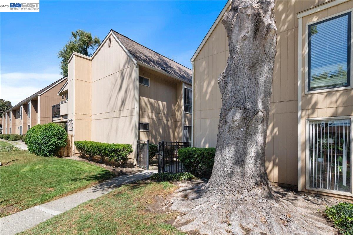 8975 Alcosta Blvd # 130, San Ramon CA 94583 — photo 23