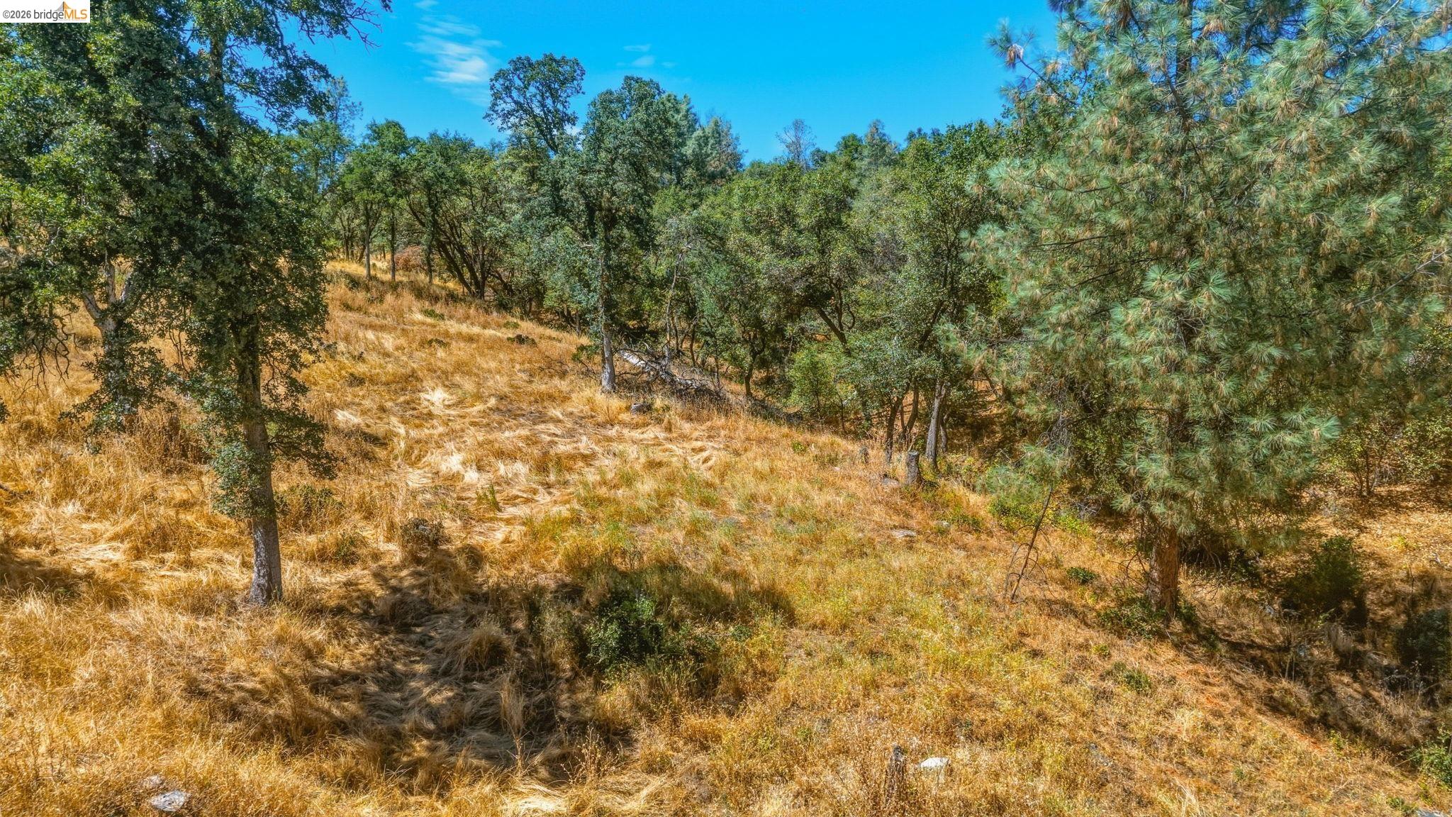 19631 Whitto Mine Rd, Sonora CA 95370 — photo 11
