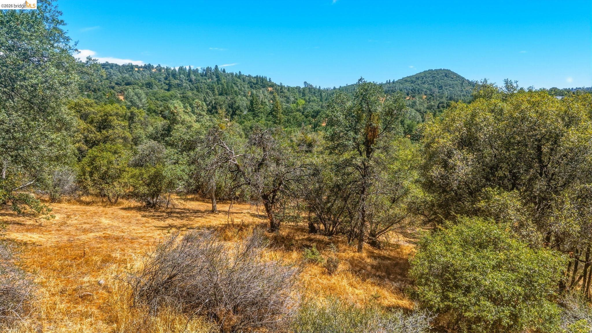 19631 Whitto Mine Rd, Sonora CA 95370 — photo 12