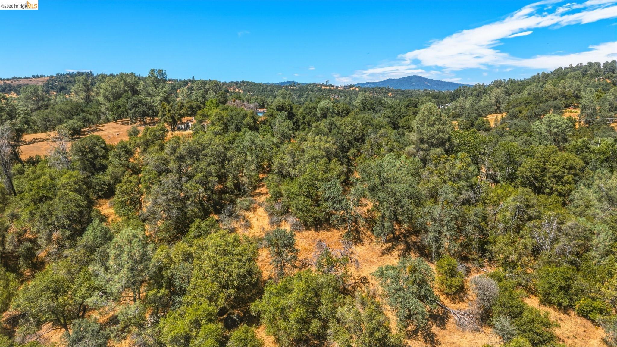 19631 Whitto Mine Rd, Sonora CA 95370 — photo 13
