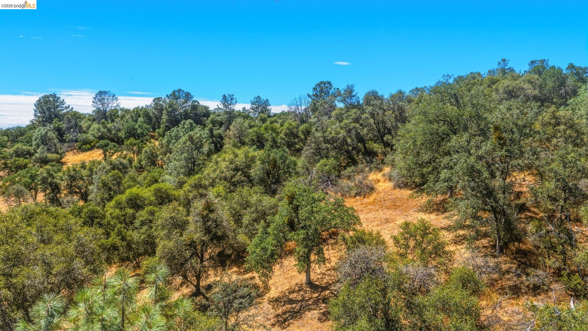 19631 Whitto Mine Rd, Sonora CA 95370 — photo 16