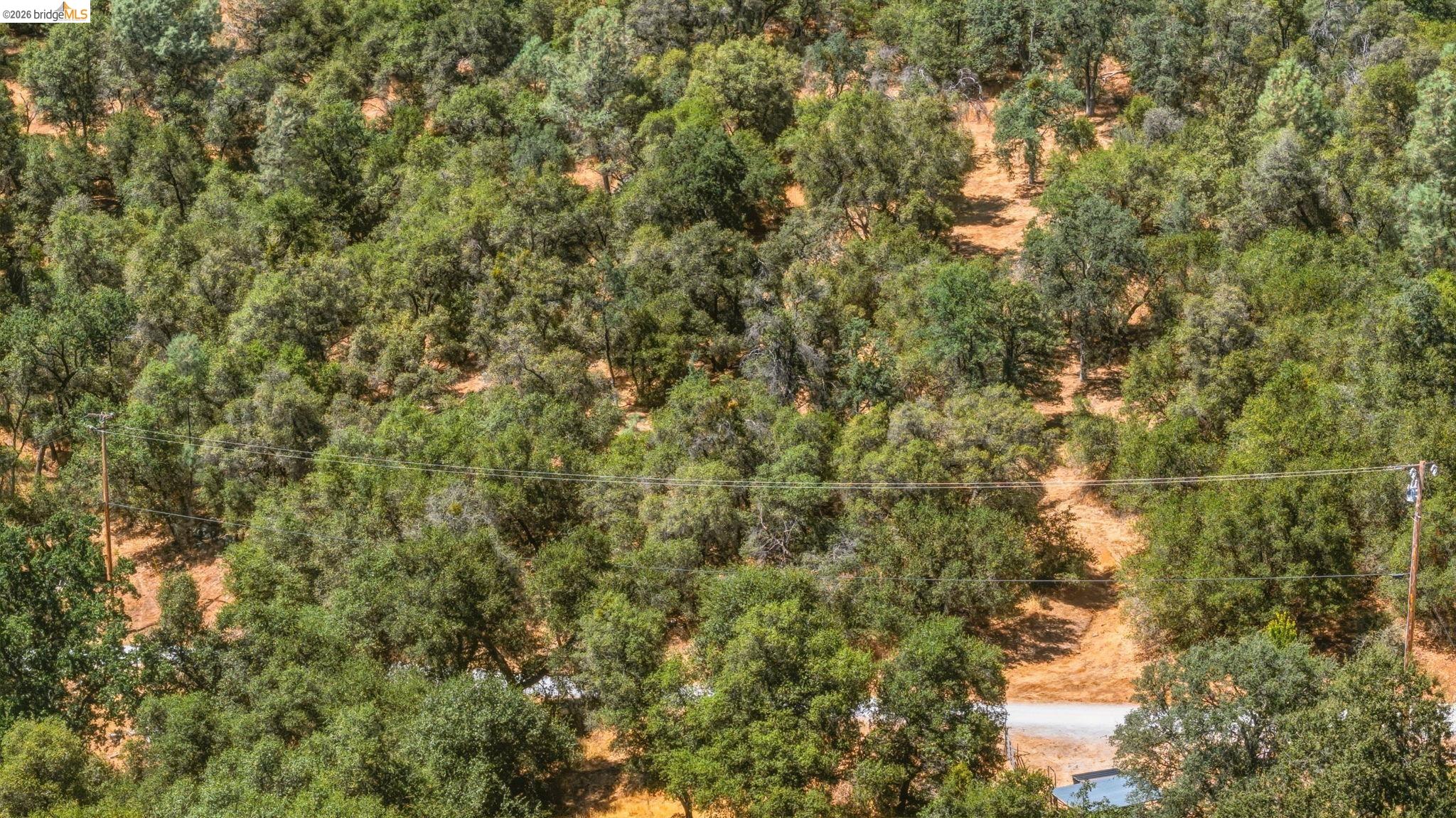 19631 Whitto Mine Rd, Sonora CA 95370 — photo 7