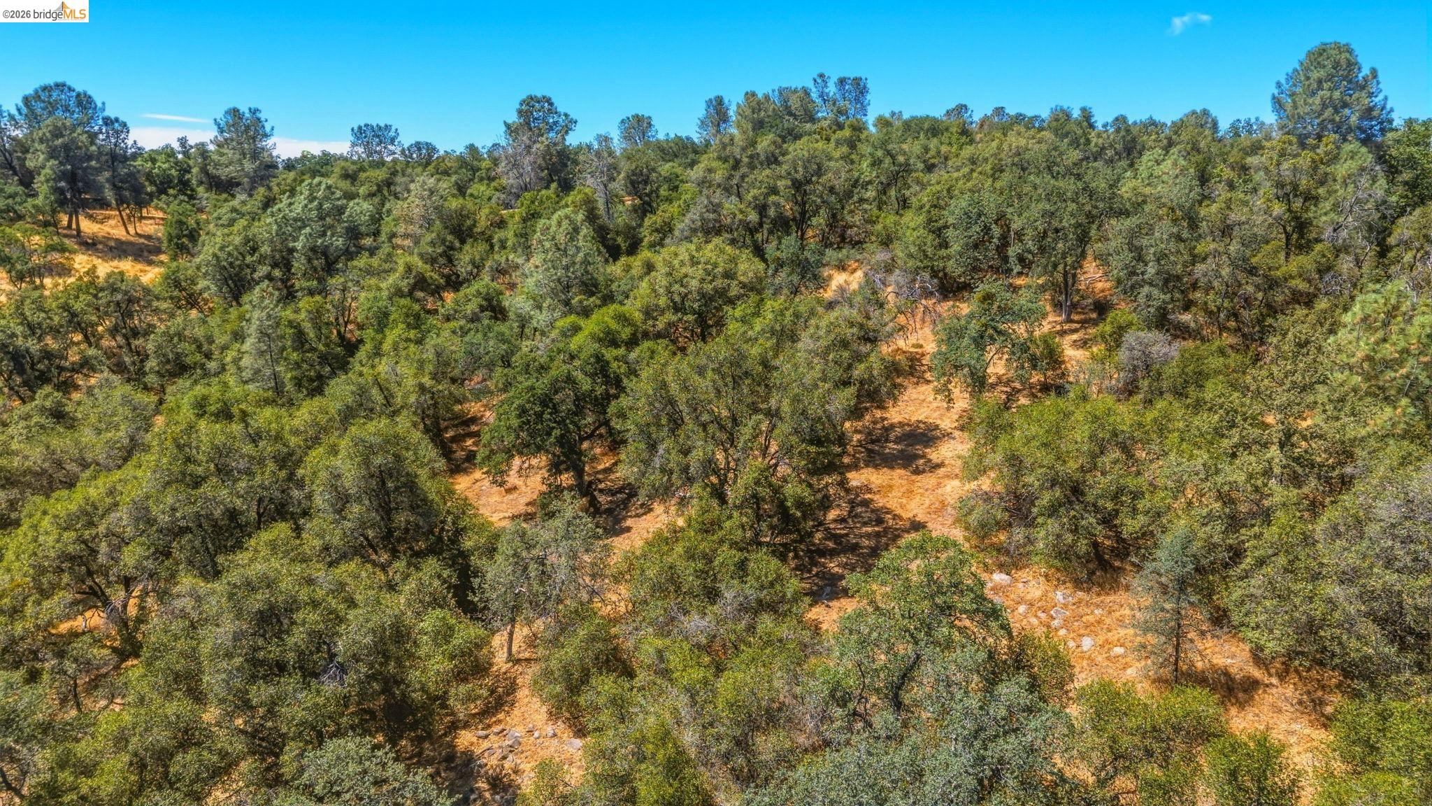 19631 Whitto Mine Rd, Sonora CA 95370 — photo 9