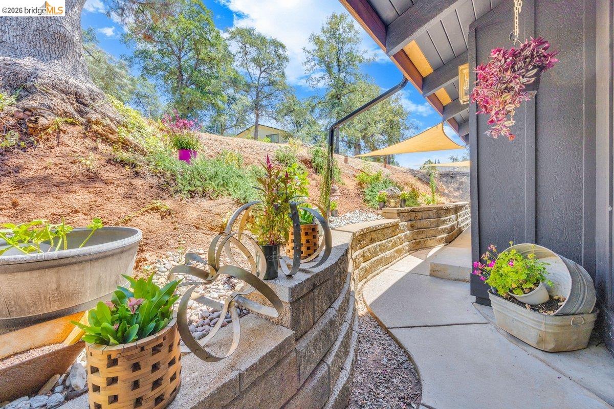 19813 Via Redonda Rd, Tuolumne County, CA 95370 photo 51