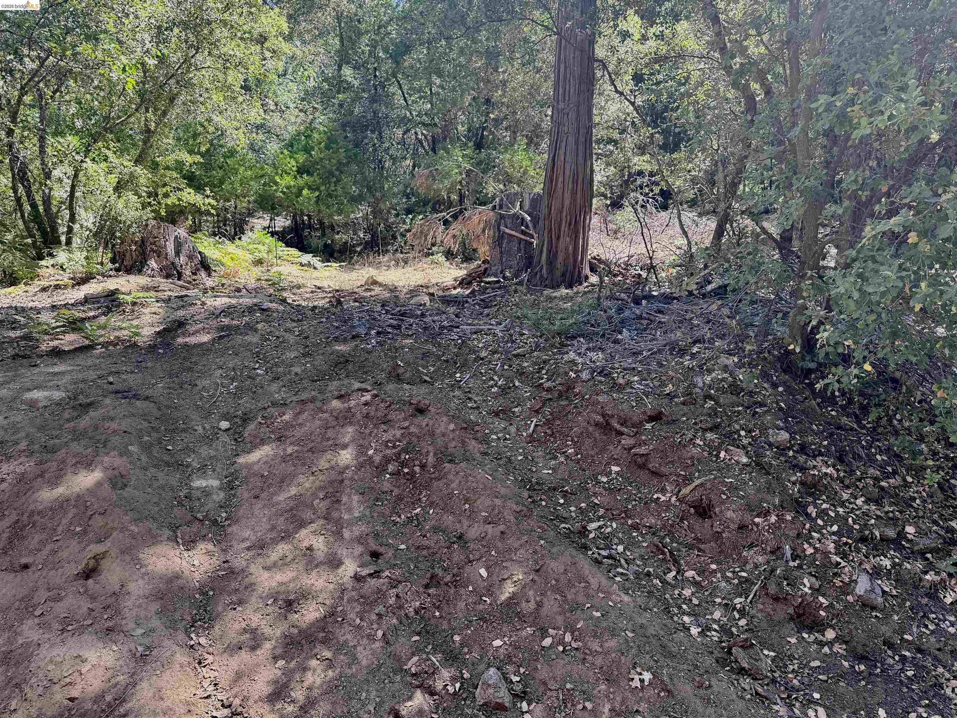 23265 Quail Dr, Twain Harte CA 95383 — photo 2