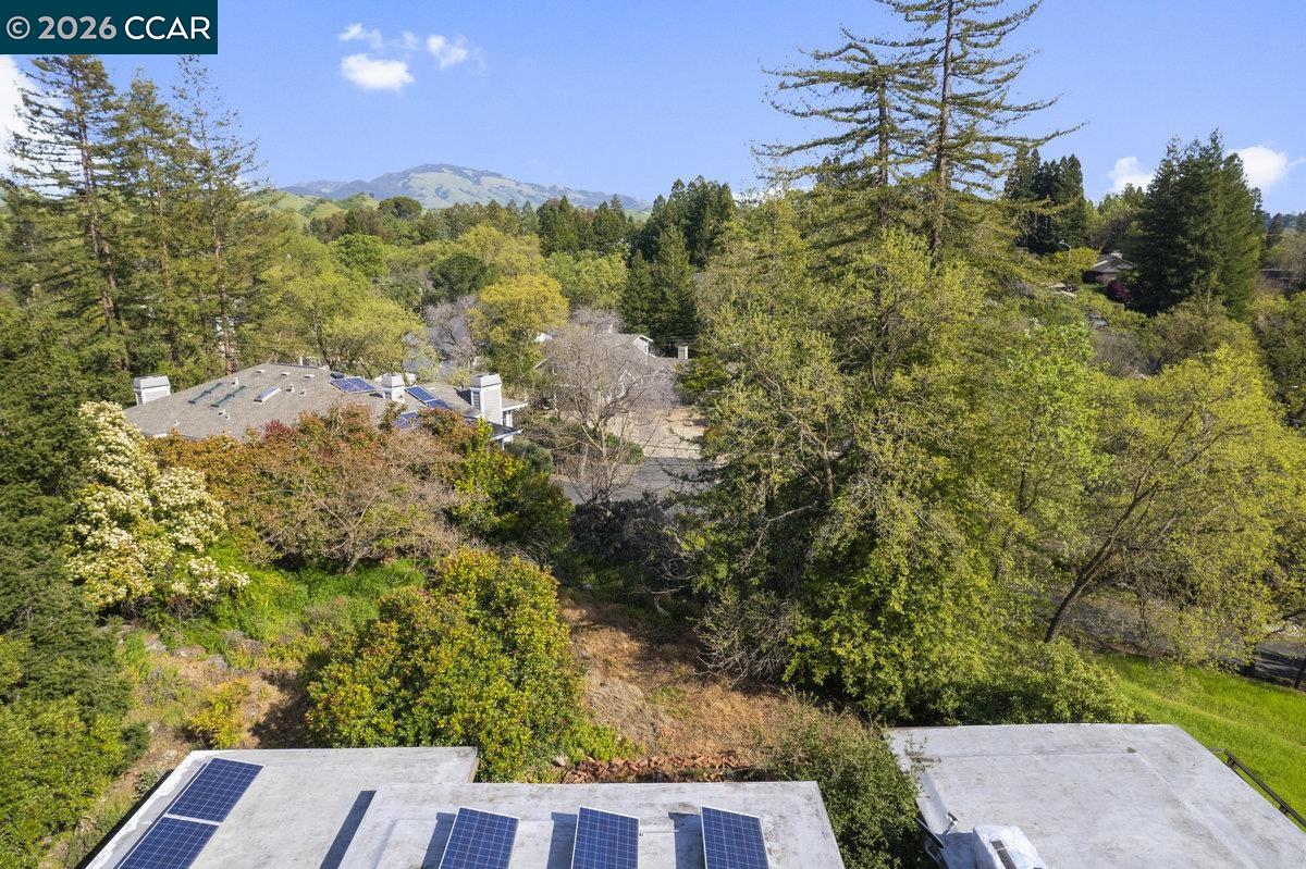 1081 Scots Ln, Walnut Creek CA 94596 — photo 21