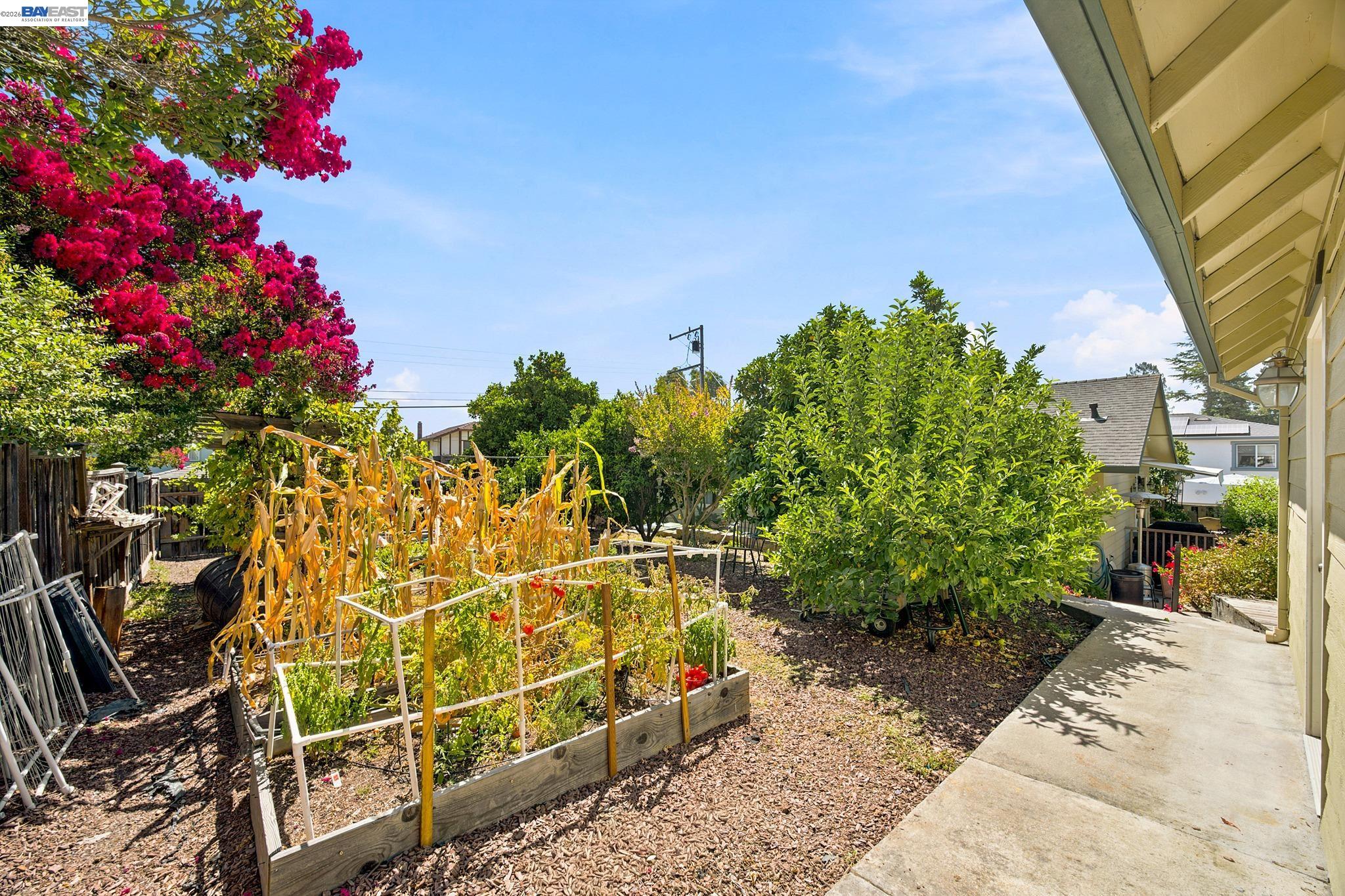 18275 Carlton Ave, Castro Valley CA 94546 — photo 21