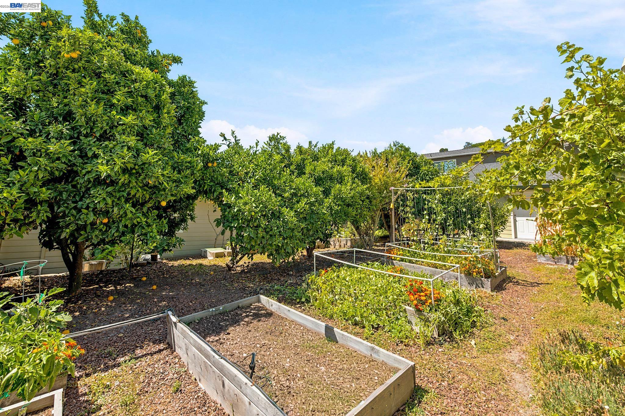 18275 Carlton Ave, Castro Valley CA 94546 — photo 22