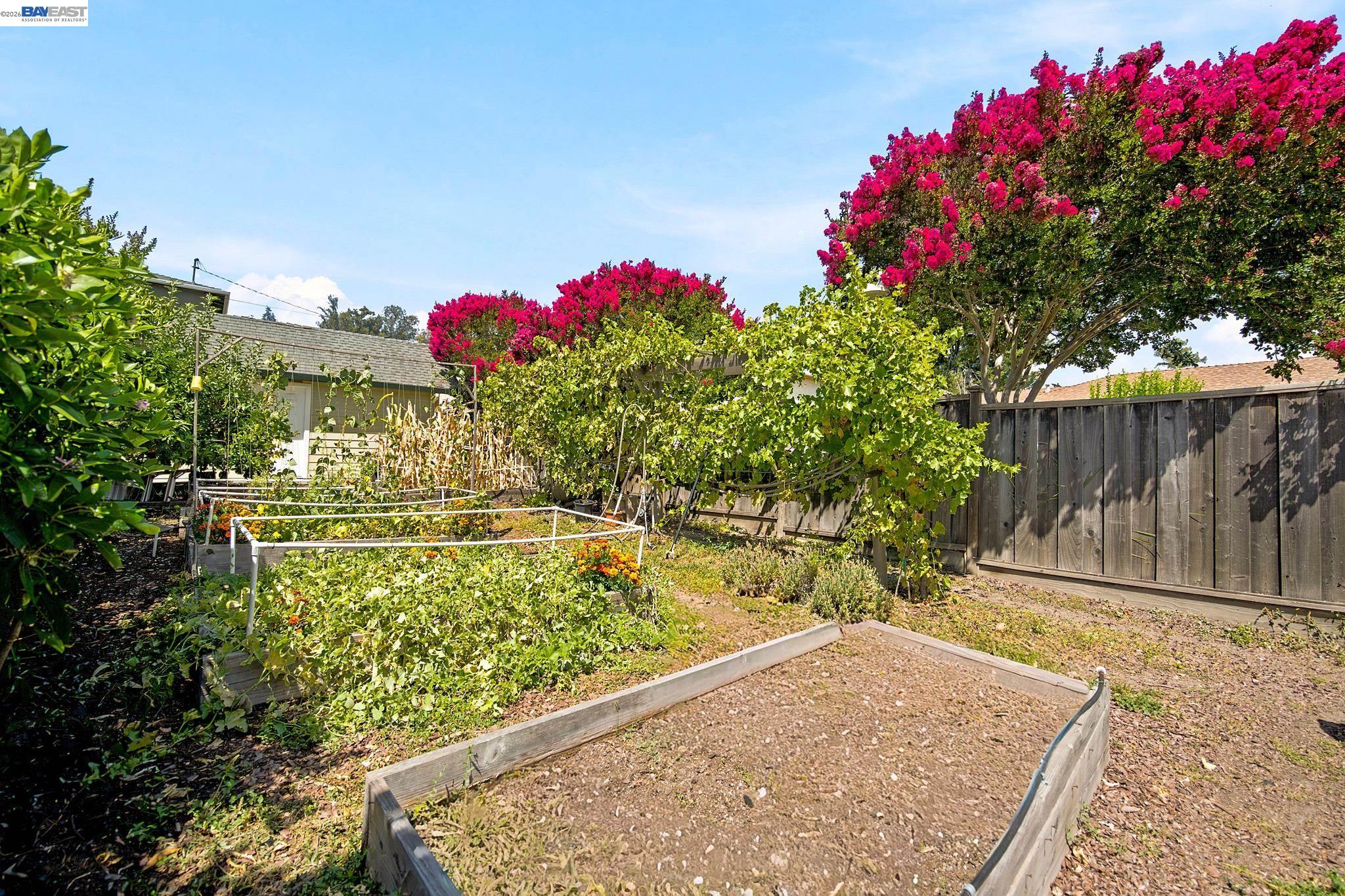18275 Carlton Ave, Castro Valley CA 94546 — photo 30