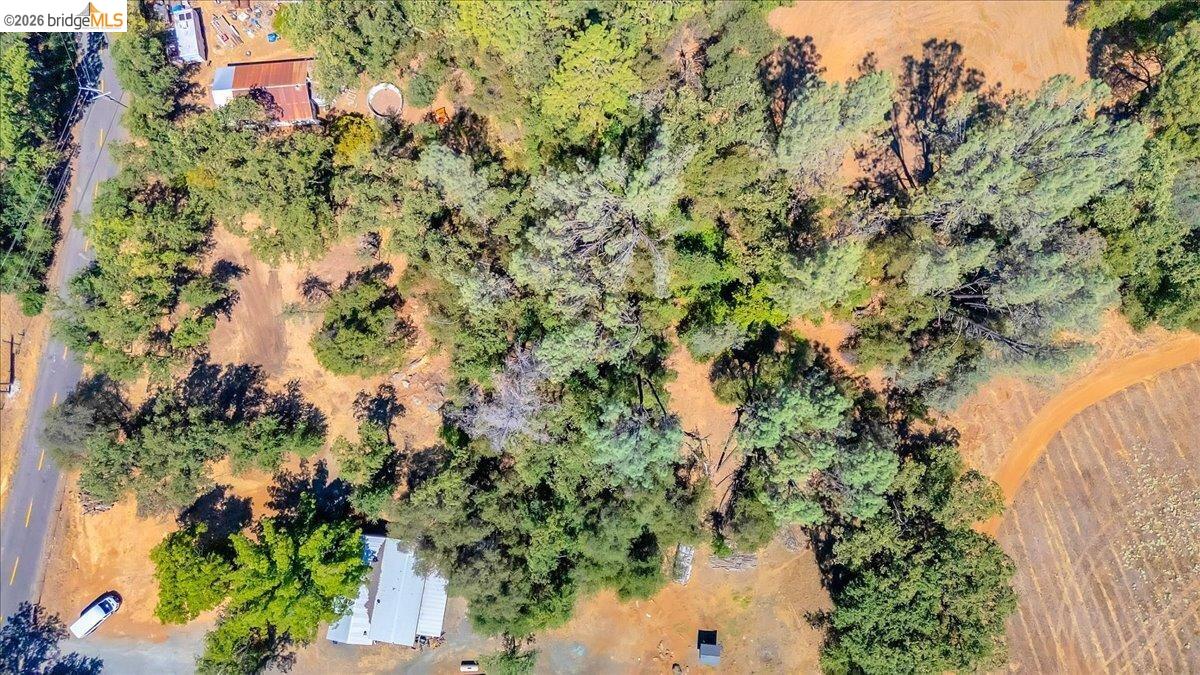 0 Mt Brow RD, Sonora CA 95370 — photo 11