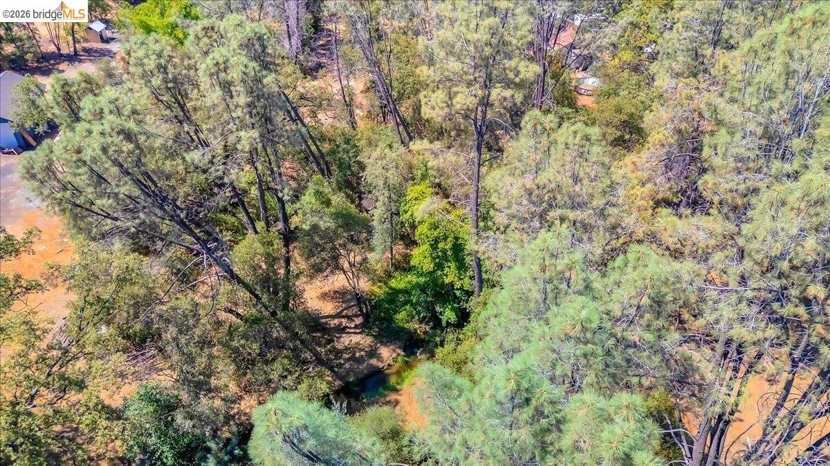 0 Mt Brow RD, Sonora CA 95370 — photo 18
