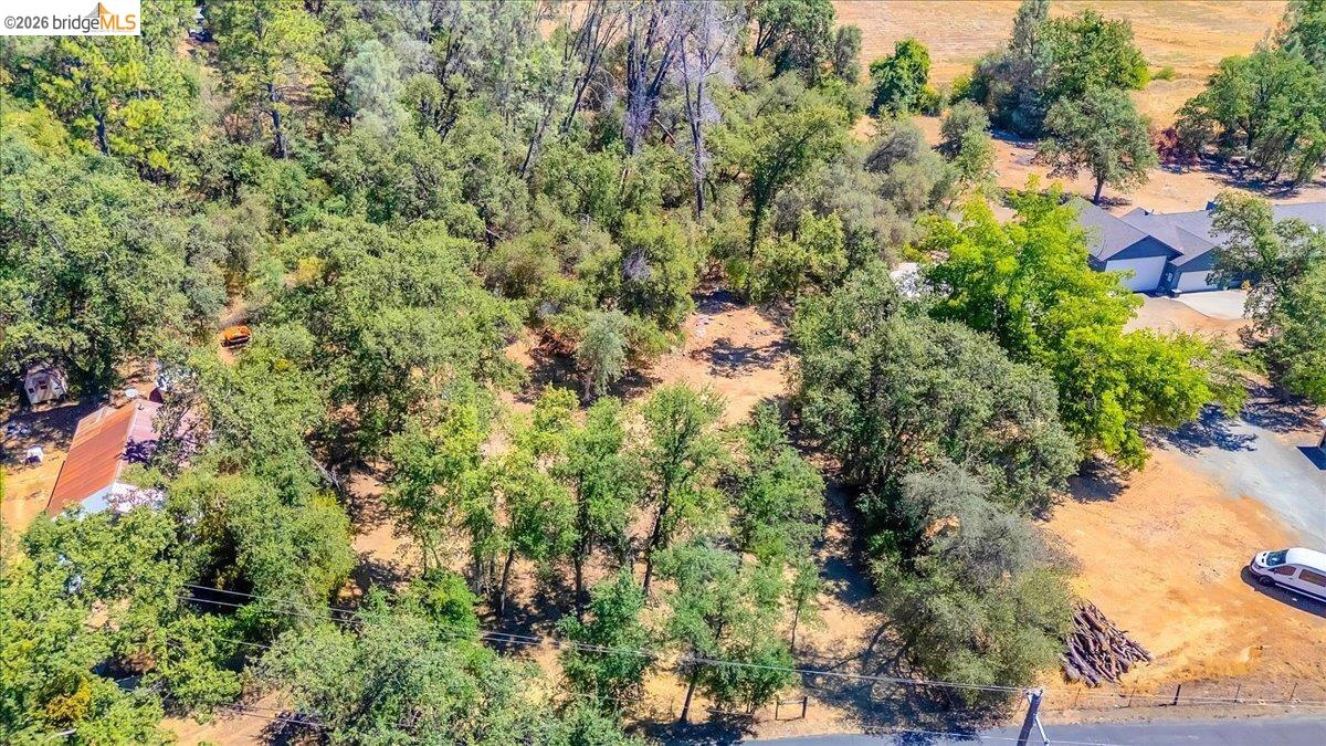 0 Mt Brow RD, Sonora CA 95370 — photo 20