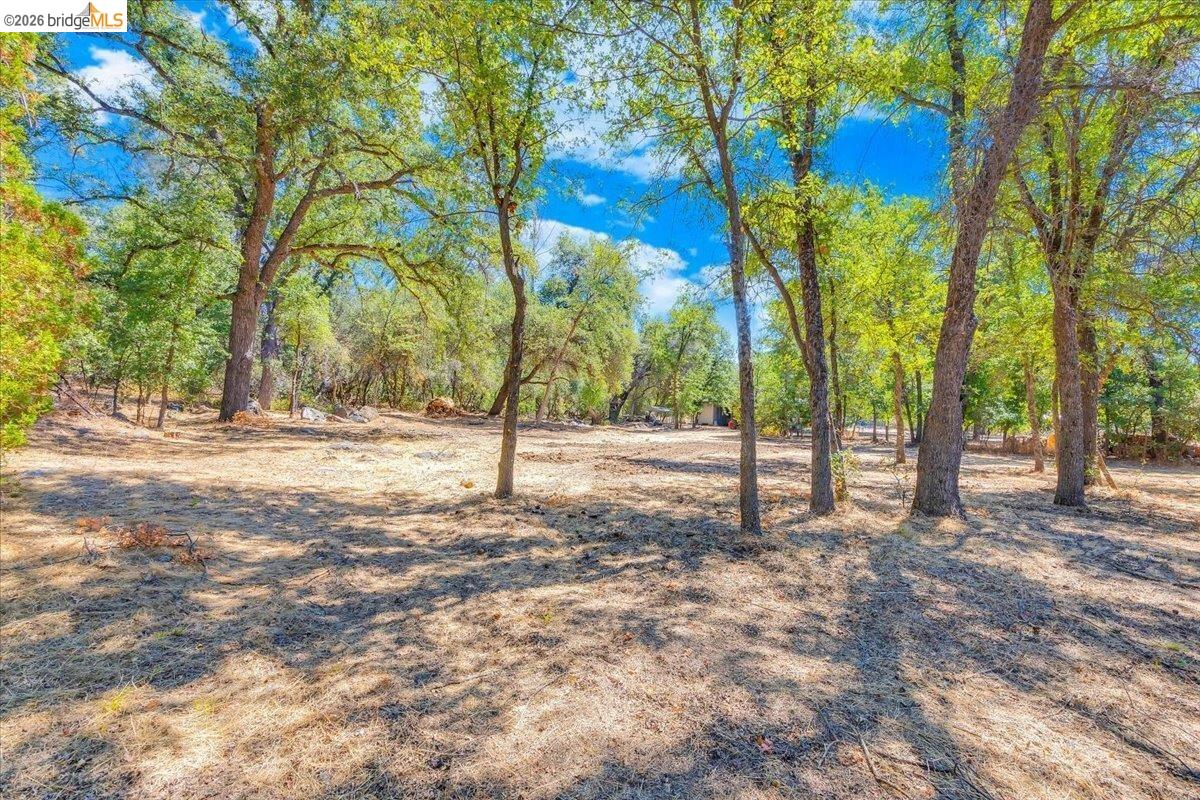 0 Mt Brow RD, Sonora CA 95370 — photo 4