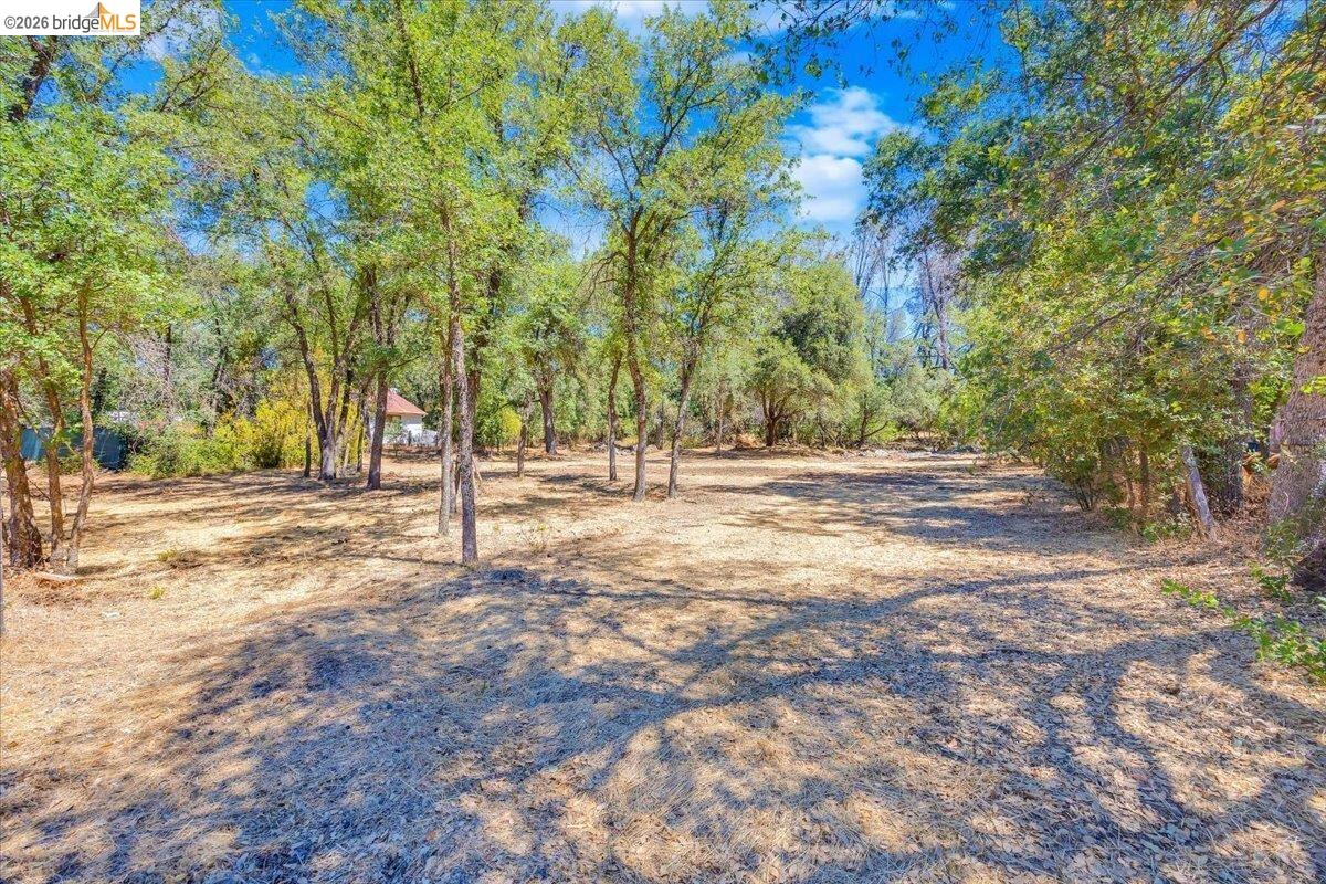 0 Mt Brow RD, Sonora CA 95370 — photo 5