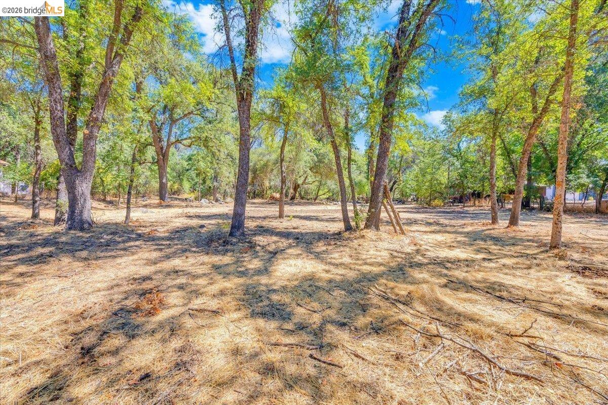 0 Mt Brow RD, Sonora CA 95370 — photo 6