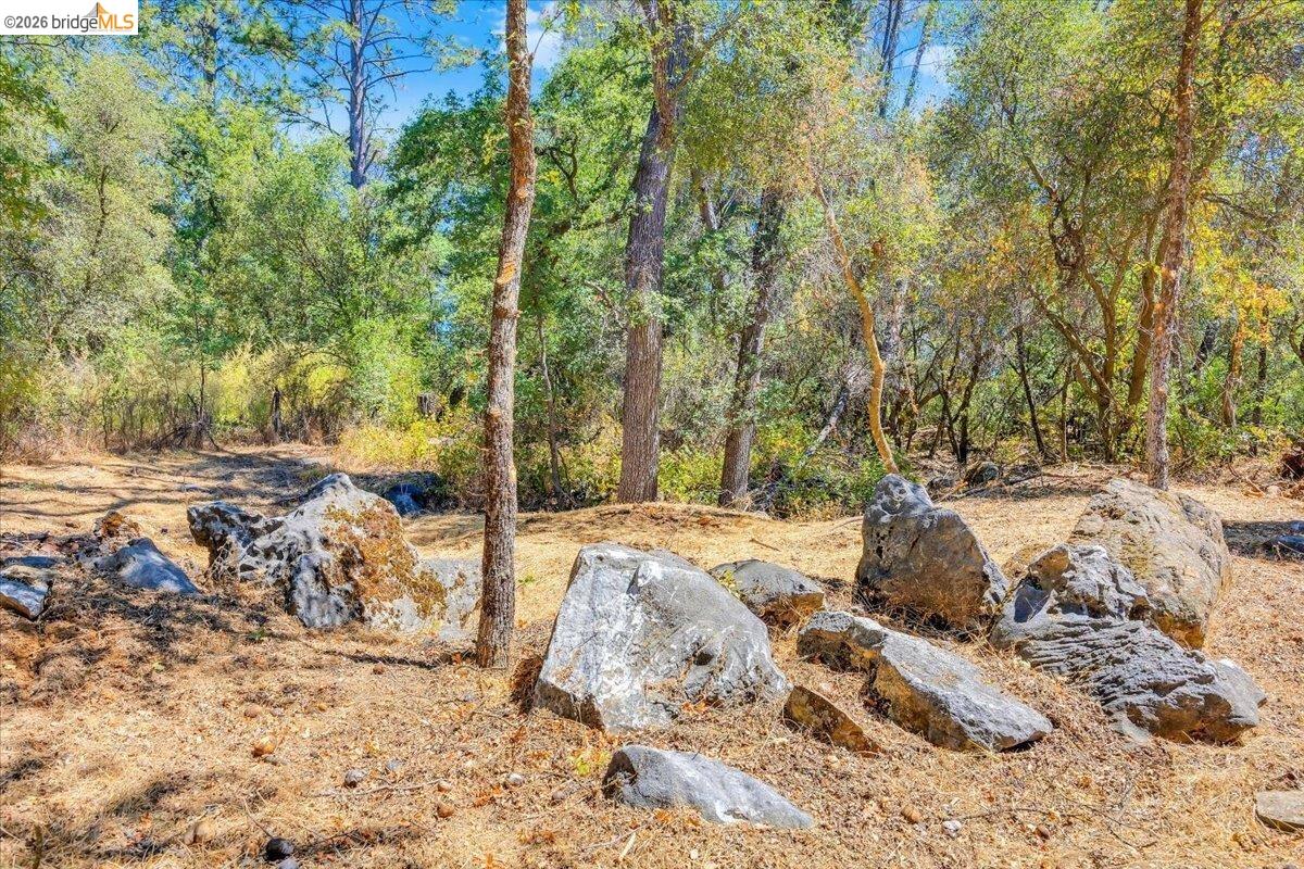 0 Mt Brow RD, Sonora CA 95370 — photo 7