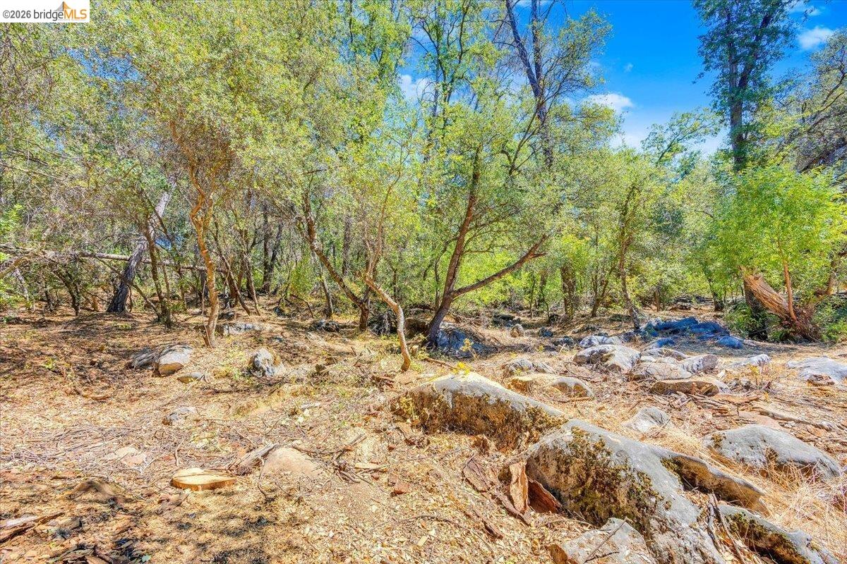 0 Mt Brow RD, Sonora CA 95370 — photo 9