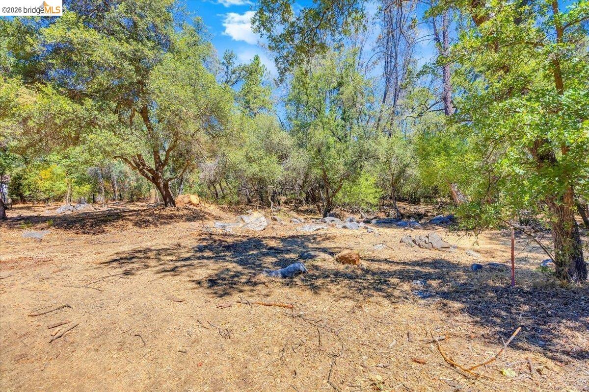 0 Mt Brow RD, Sonora CA 95370 — photo 10