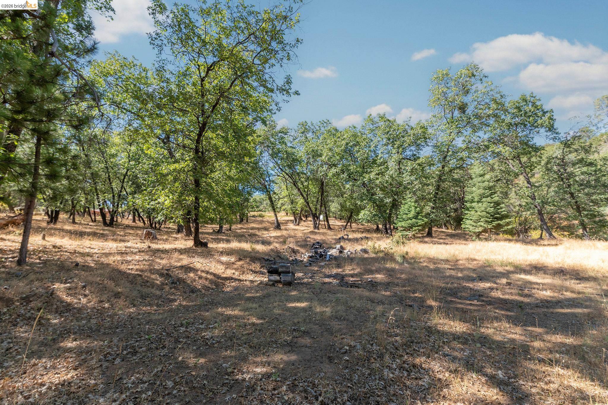 Robertson Ranch Rd — photo 87