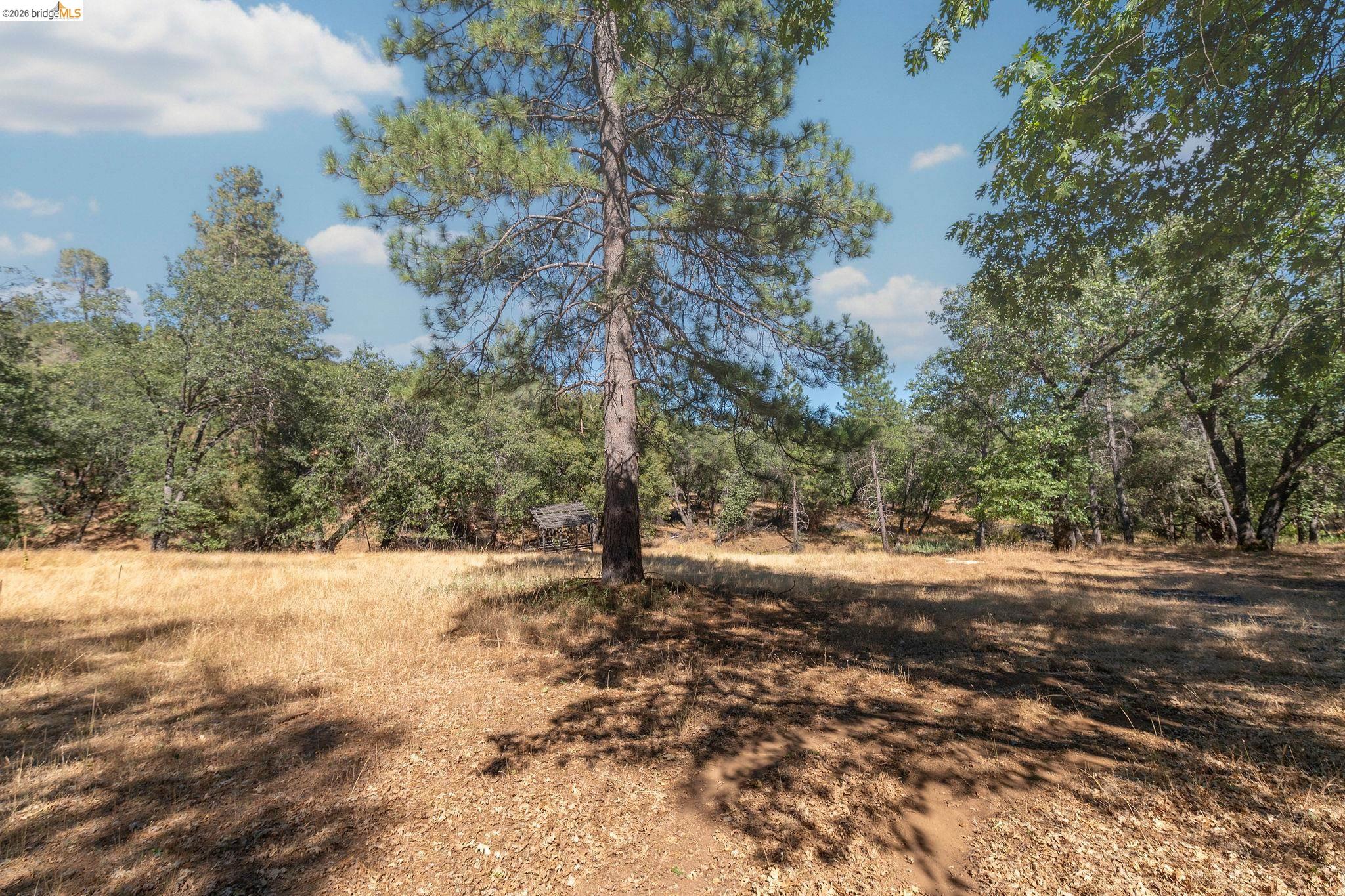 Robertson Ranch Rd — photo 88