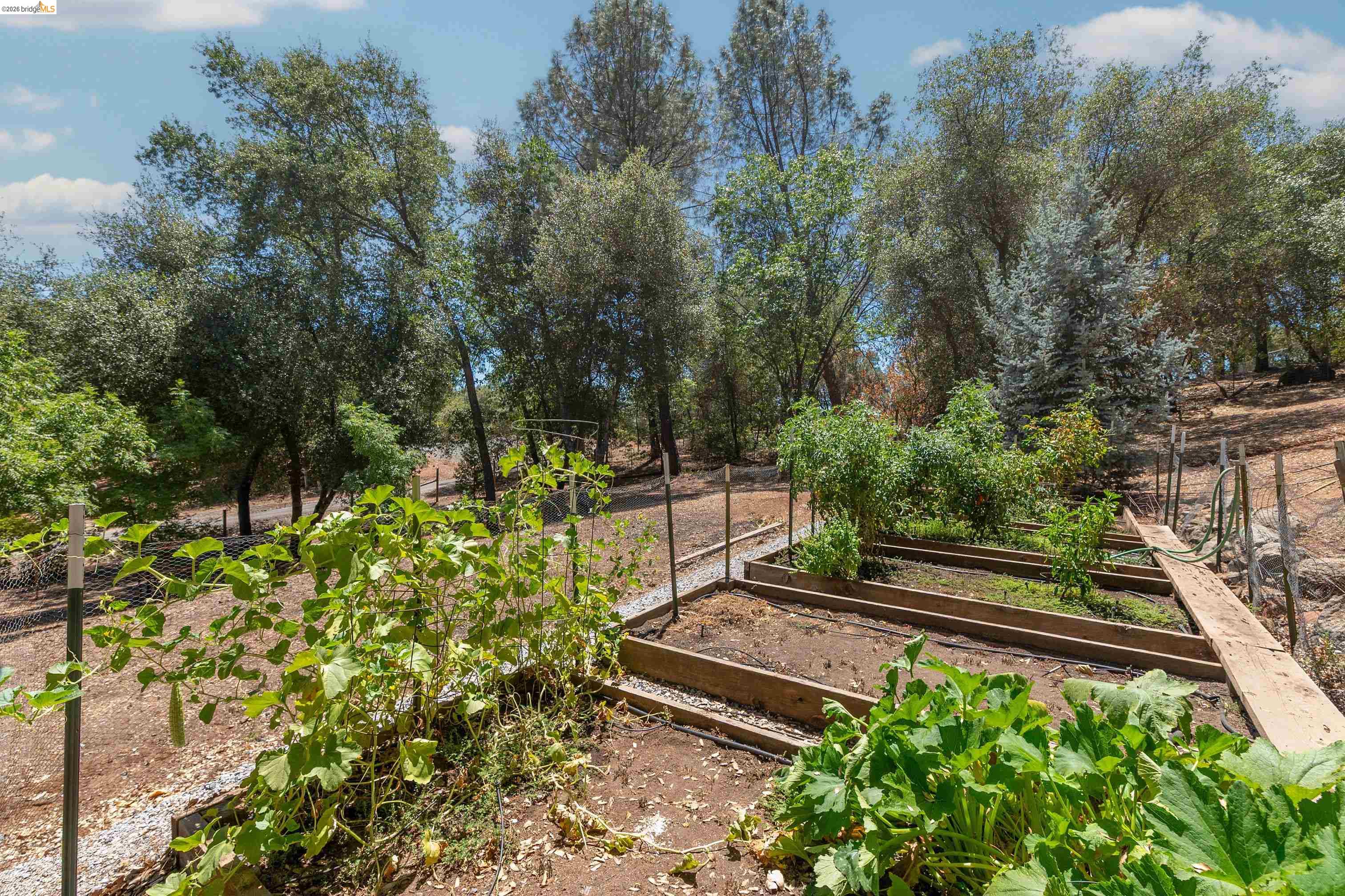 18252 Hershey Rd. E., Tuolumne CA 95379 — photo 62