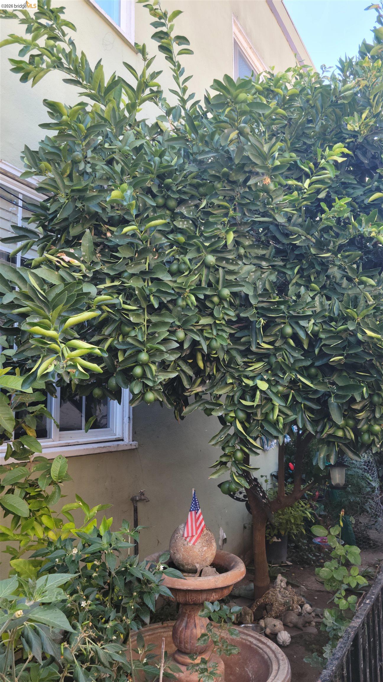 1908 38Th Ave, Oakland CA 94601 — photo 17