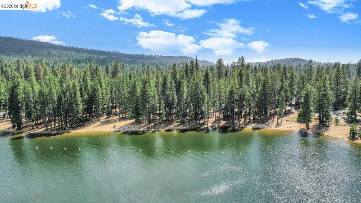 59 Granite Ln, Pinecrest CA 95364 — photo 34