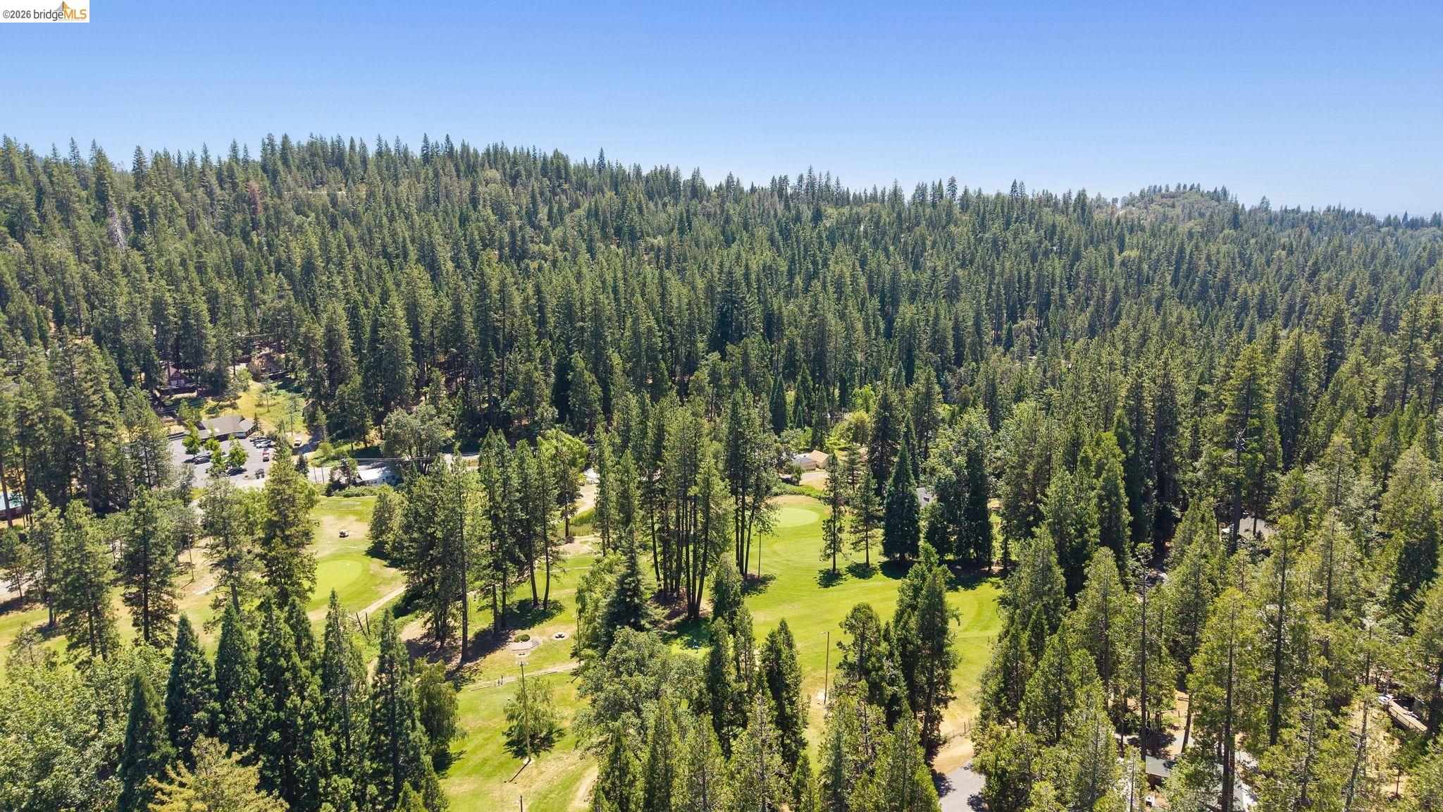 22790 Bret Harte Dr, Twain Harte CA 95383 — photo 65