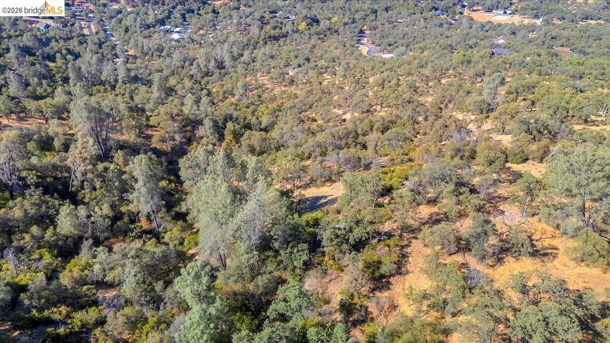 00 Henry D Court, Sonora CA 95370 — photo 12