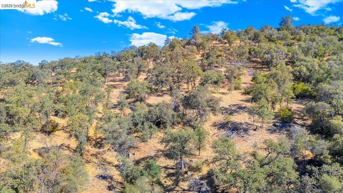 00 Henry D Court, Sonora CA 95370 — photo 13