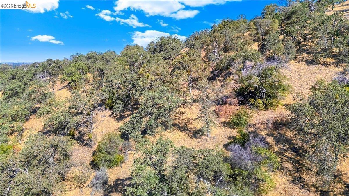 00 Henry D Court, Sonora CA 95370 — photo 14