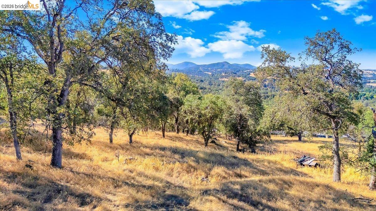 00 Henry D Court, Sonora CA 95370 — photo 5