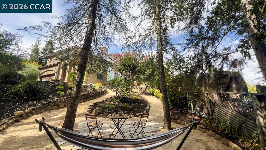 800 Hamilton Dr, Pleasant Hill CA 94523 — photo 47
