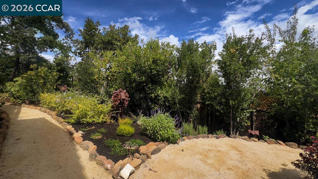 800 Hamilton Dr, Pleasant Hill CA 94523 — photo 50