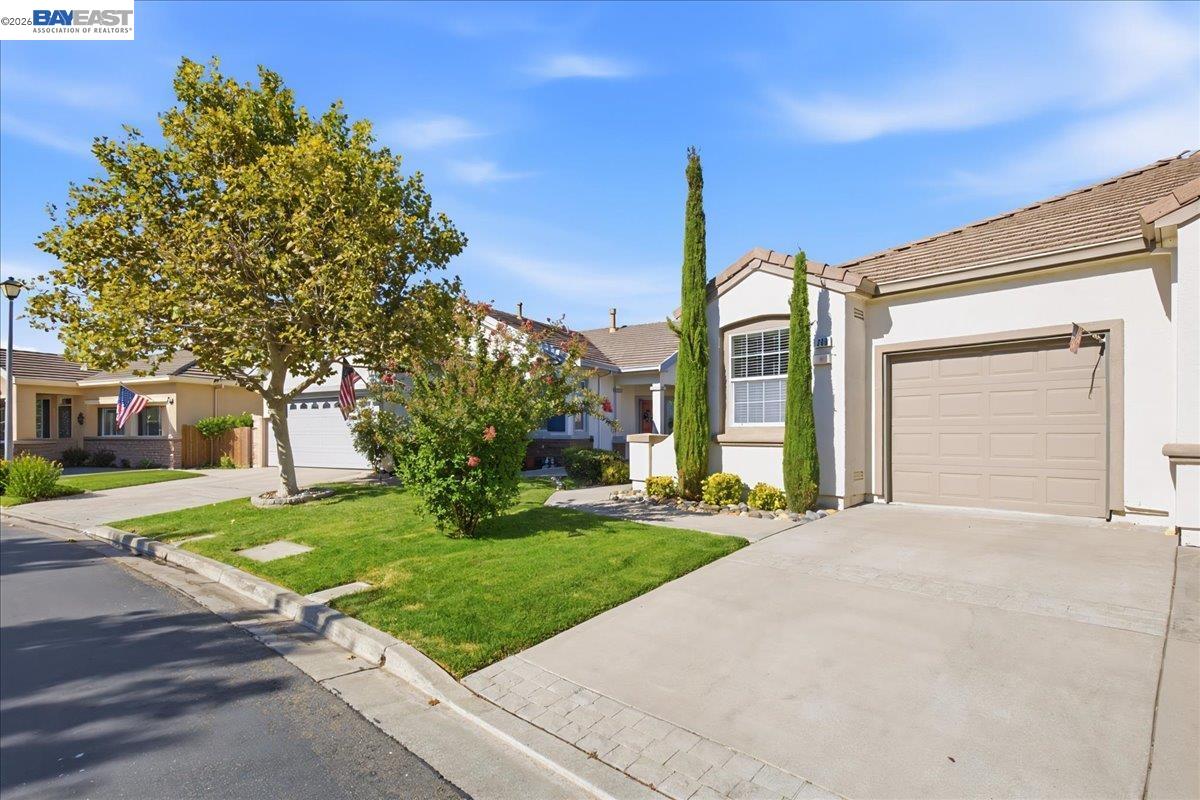 288 Black Amber Way, Brentwood CA 94513 — photo 2