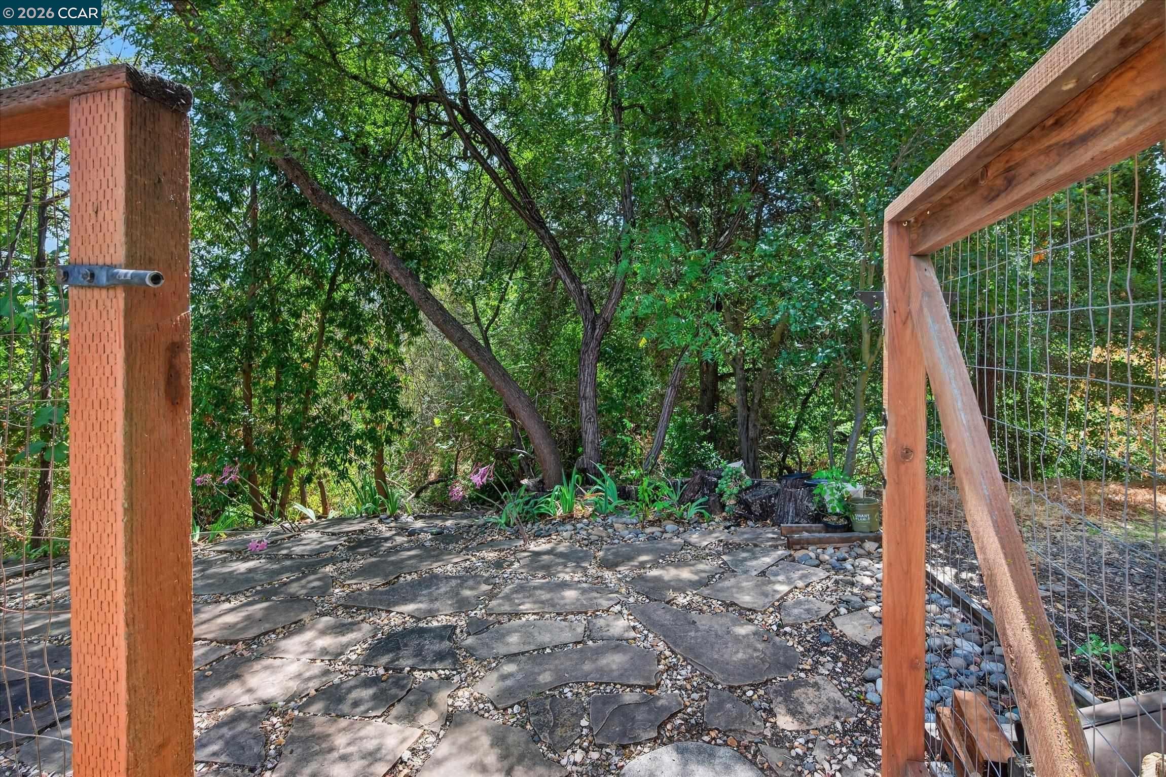584 Mission Pl, Danville CA 94526 — photo 48