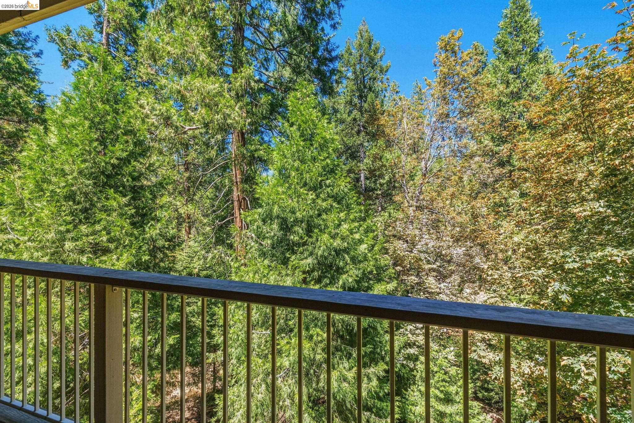 24230 N Oxbow Ln, Sonora CA 95370 — photo 34